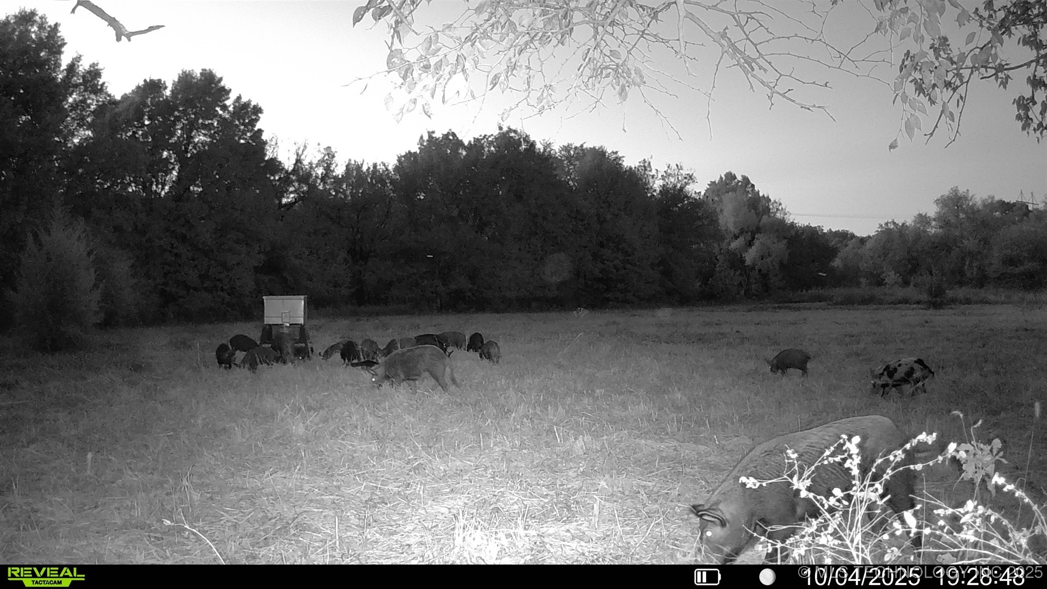 N 386 Property Photo 11