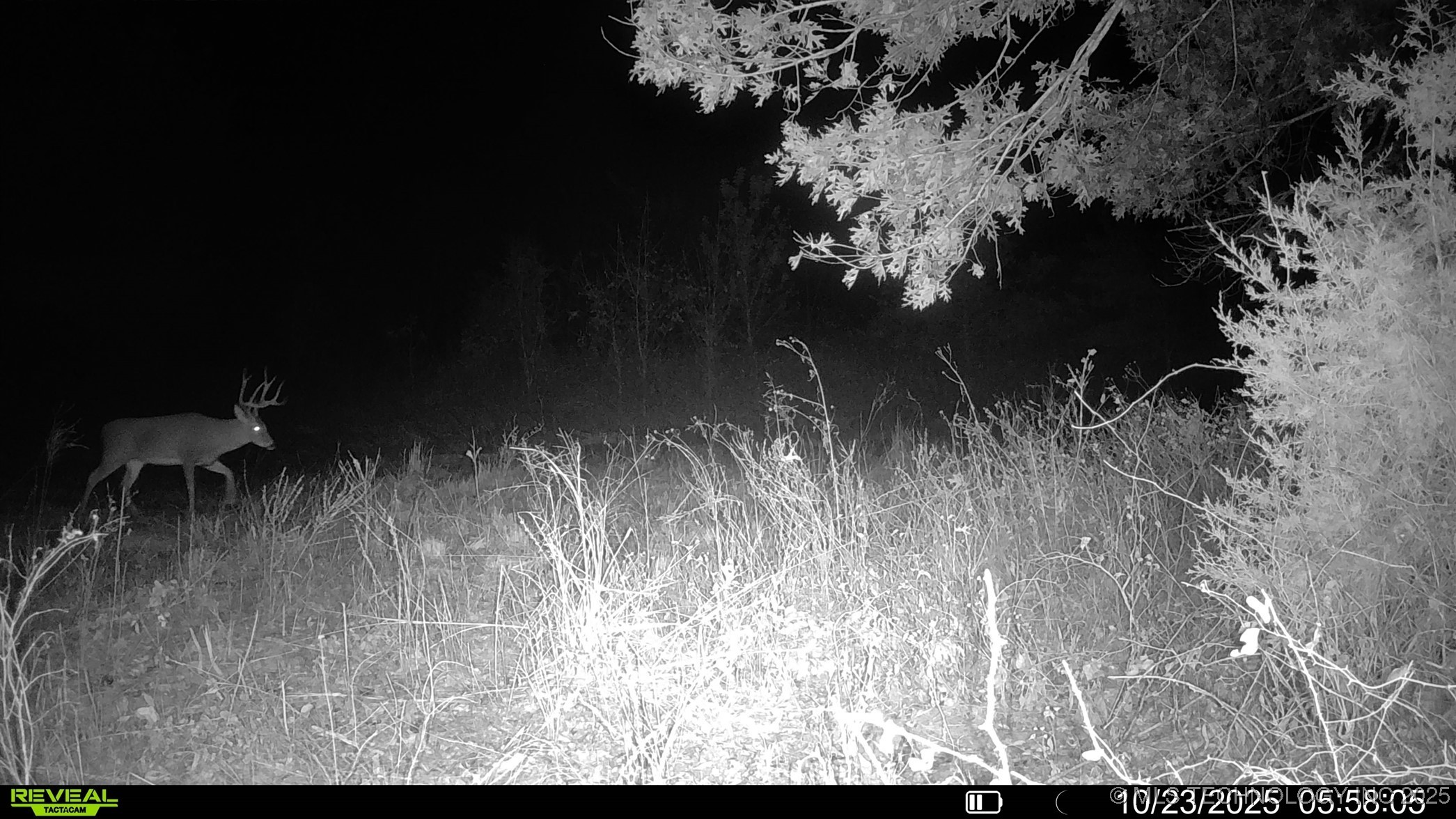 N 386 Property Photo 13