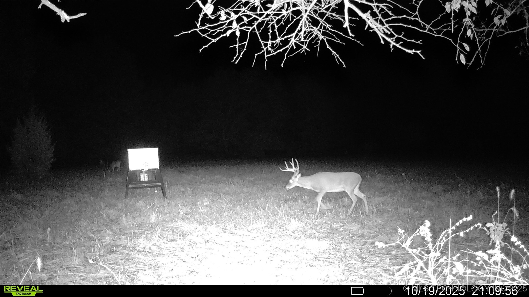 N 386 Property Photo 14