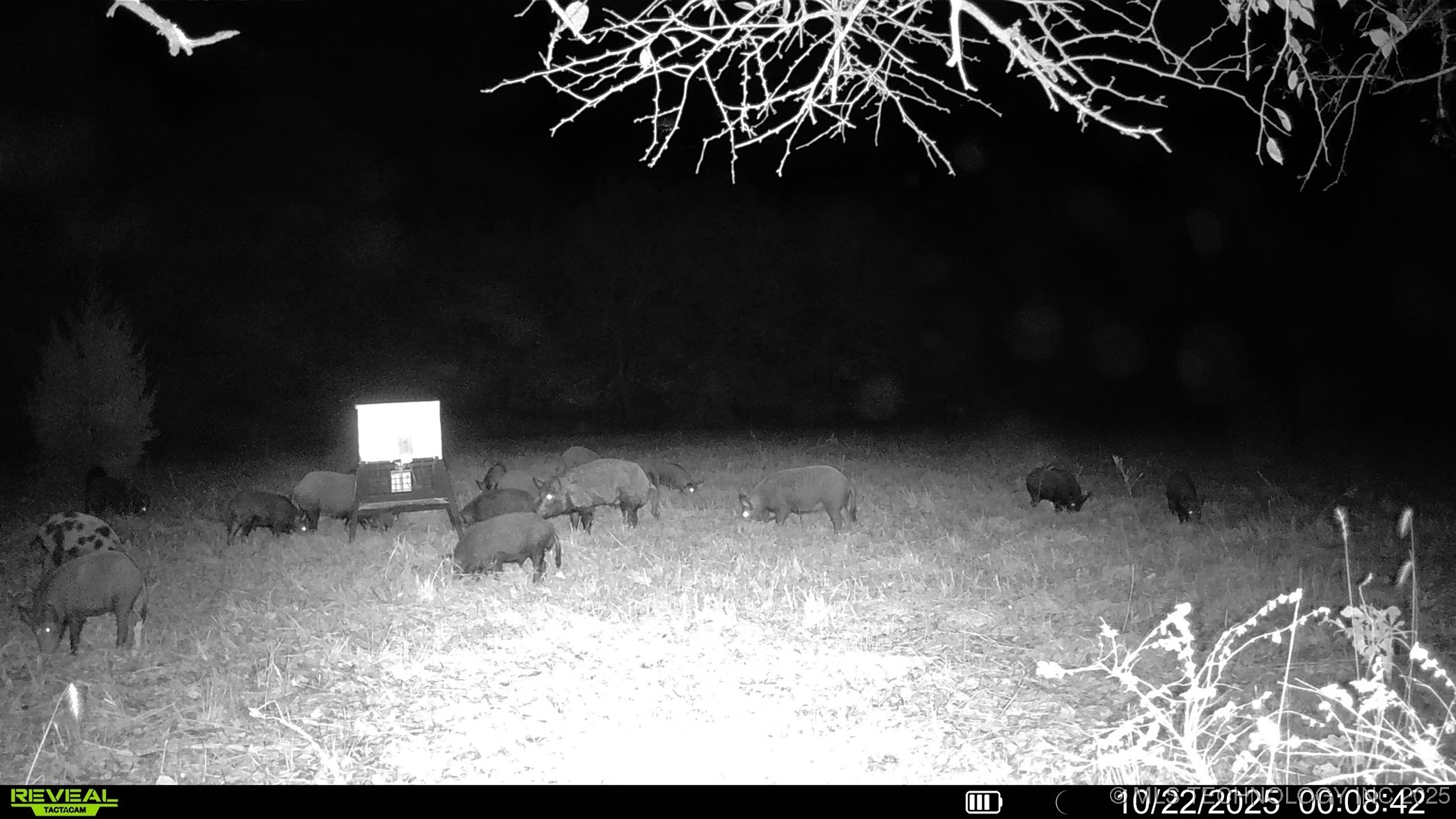 N 386 Property Photo 15