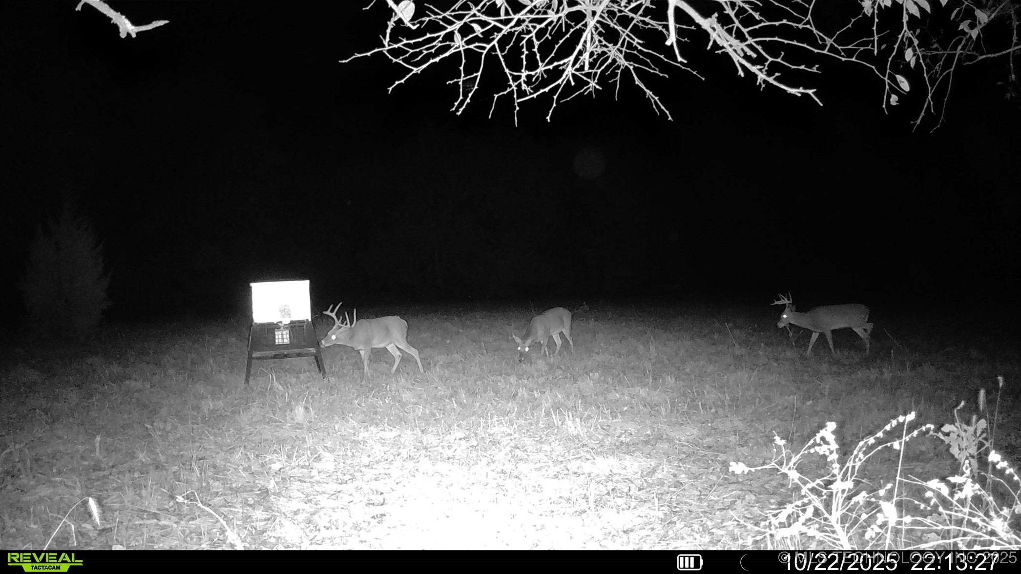 N 386 Property Photo 16