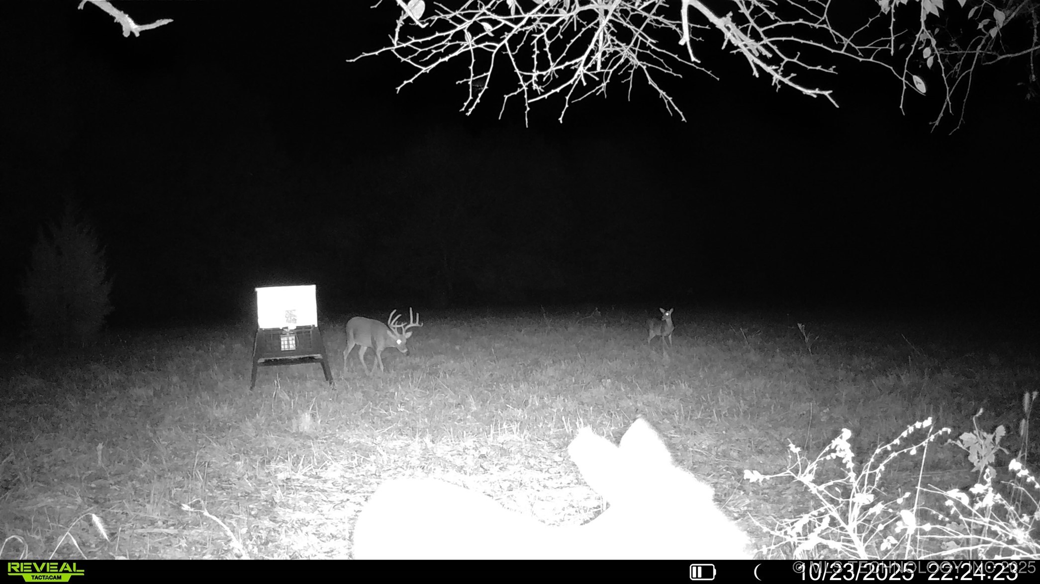 N 386 Property Photo 17