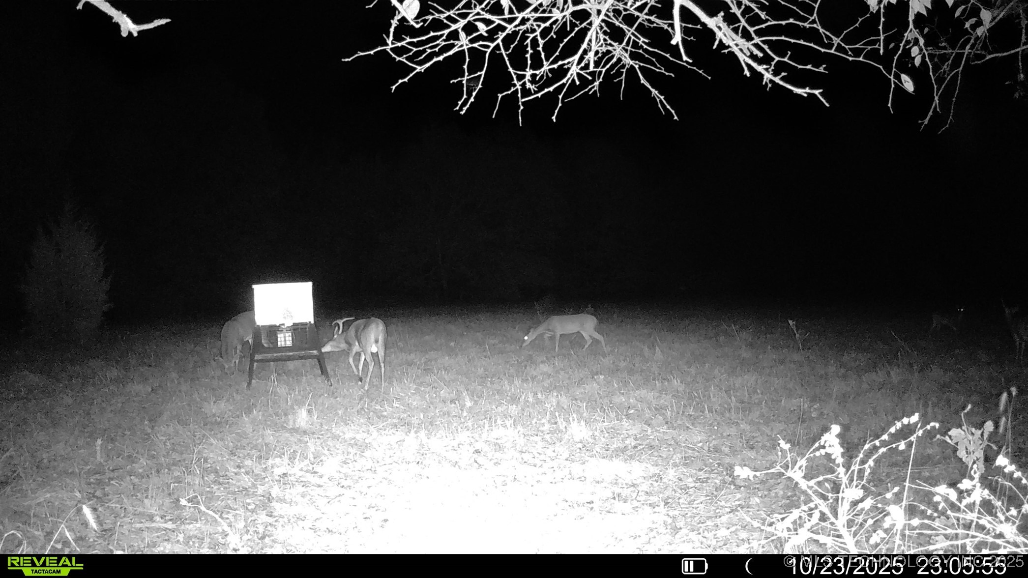 N 386 Property Photo 18