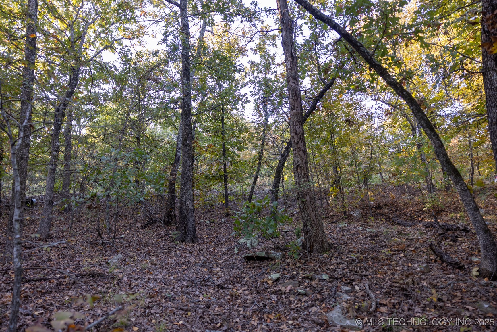 4 N Coal Creek Property Photo 9