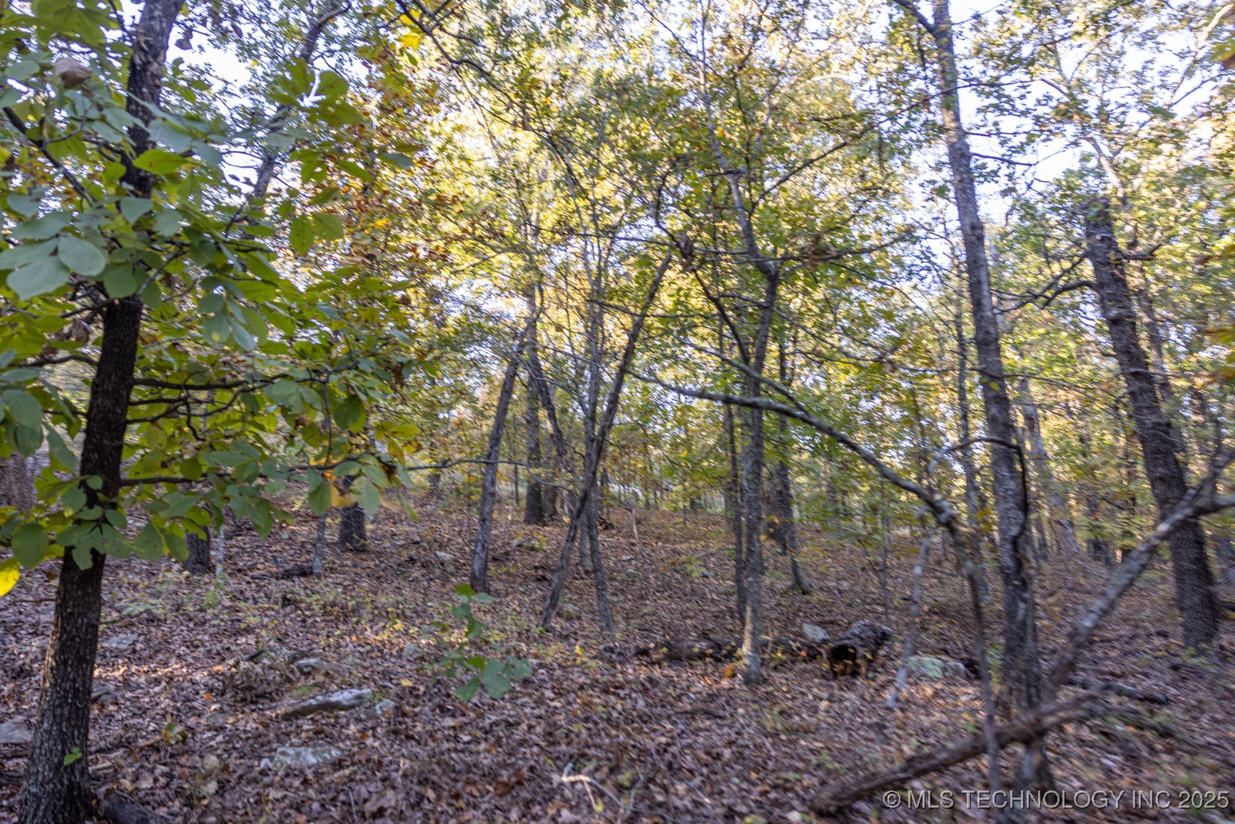 4 N Coal Creek Property Photo 10