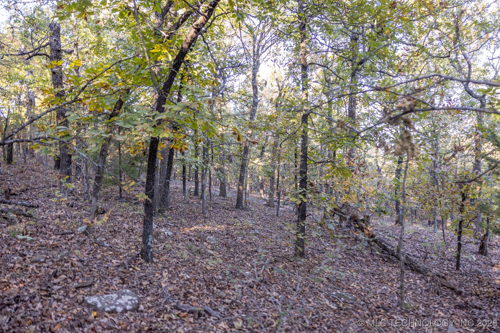 4 N Coal Creek Property Photo 11