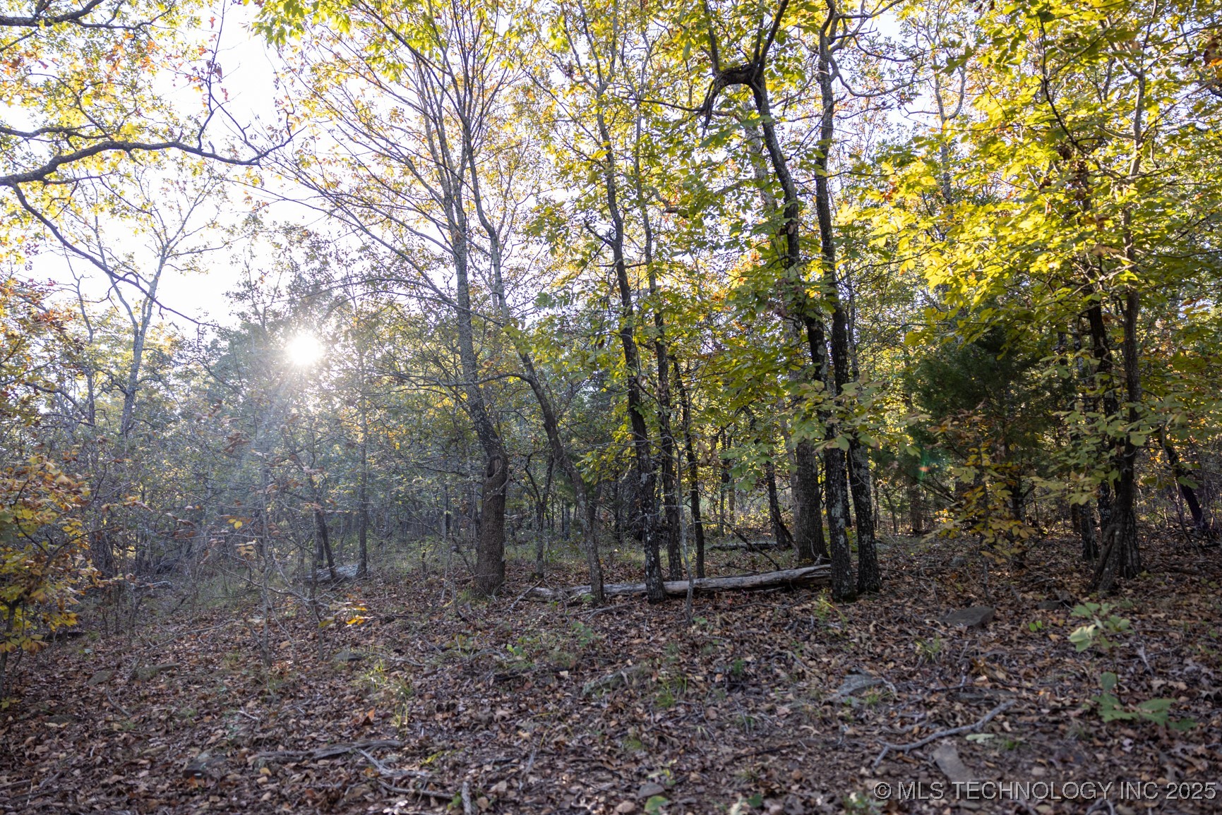 4 N Coal Creek Property Photo 12