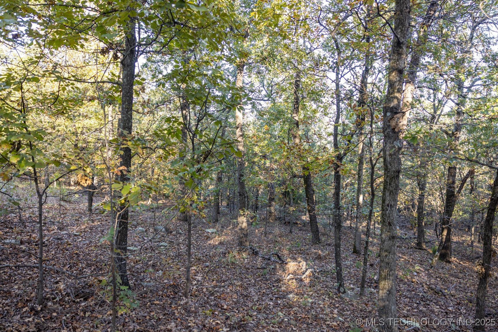 4 N Coal Creek Property Photo 17