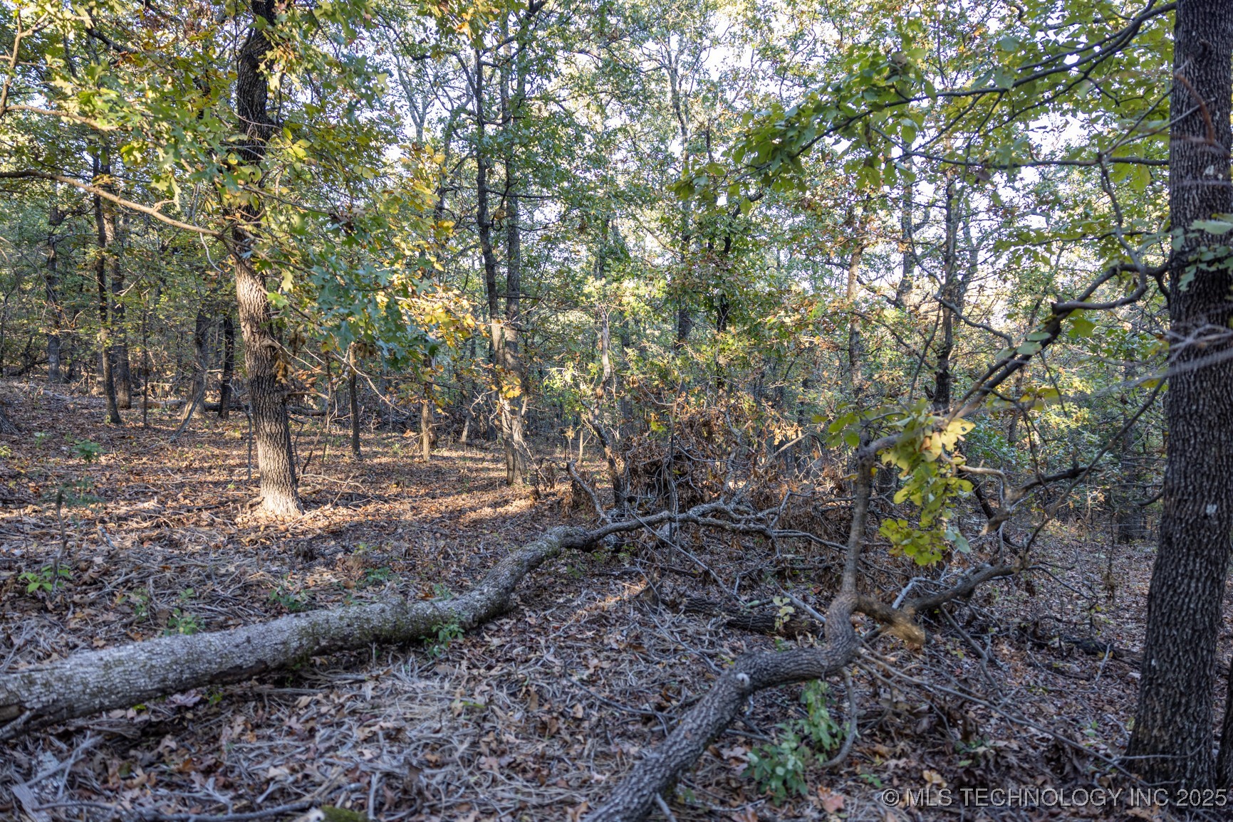 4 N Coal Creek Property Photo 21