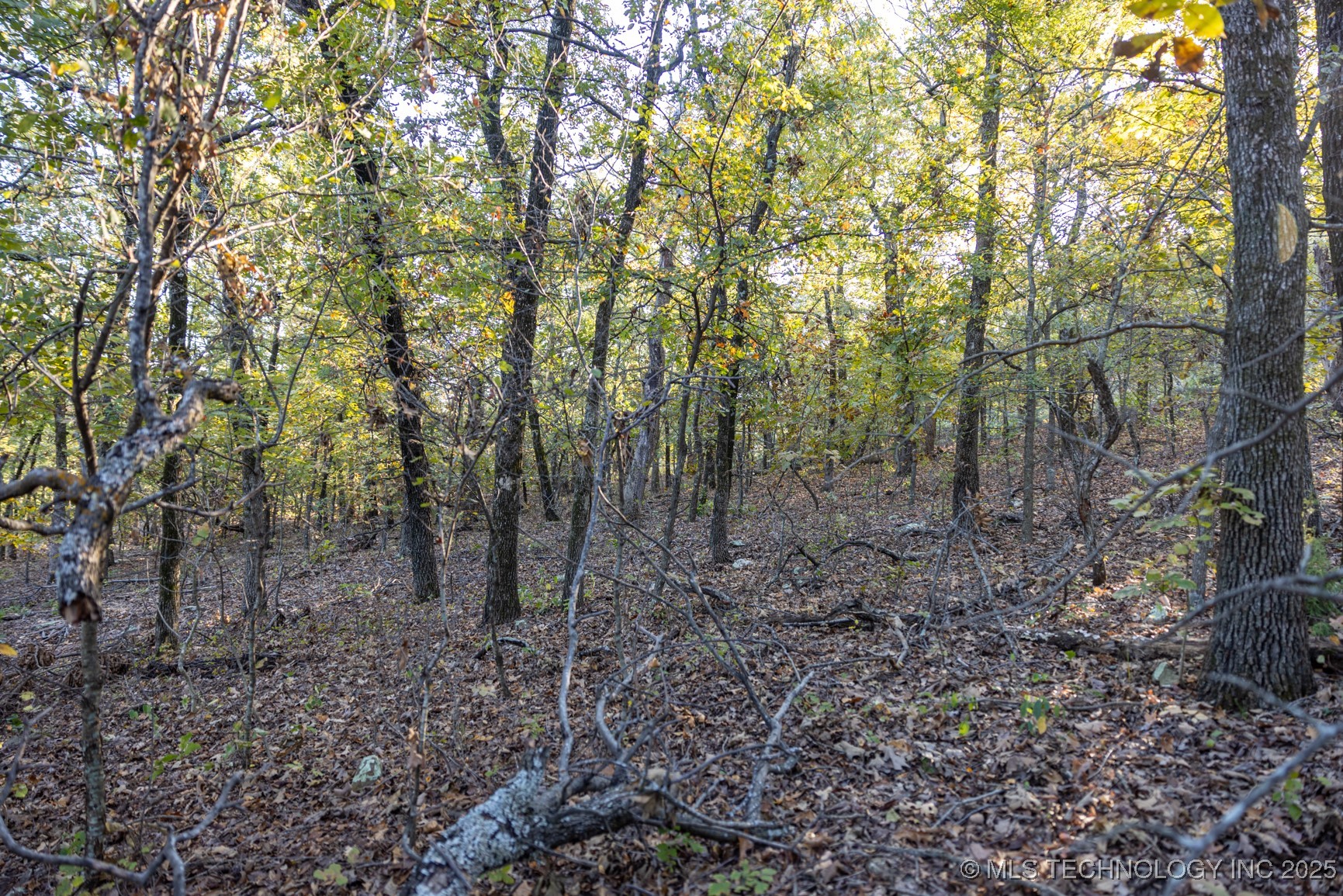 4 N Coal Creek Property Photo 22