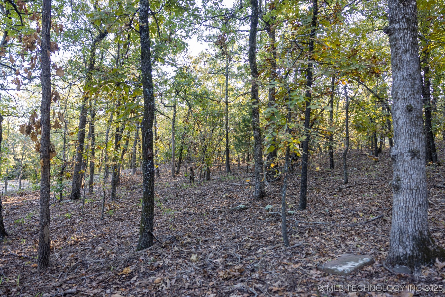 4 N Coal Creek Property Photo 23