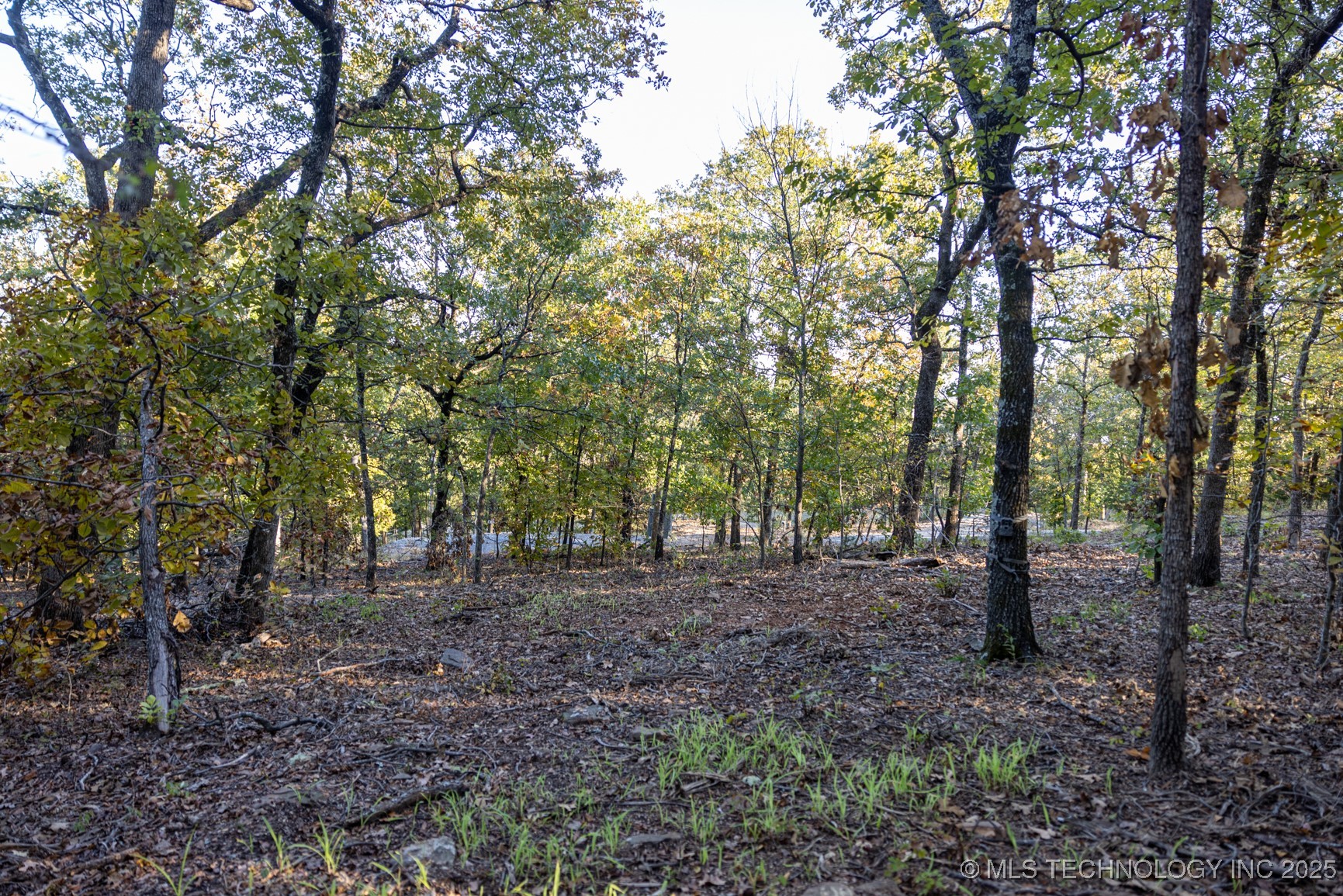 4 N Coal Creek Property Photo 24