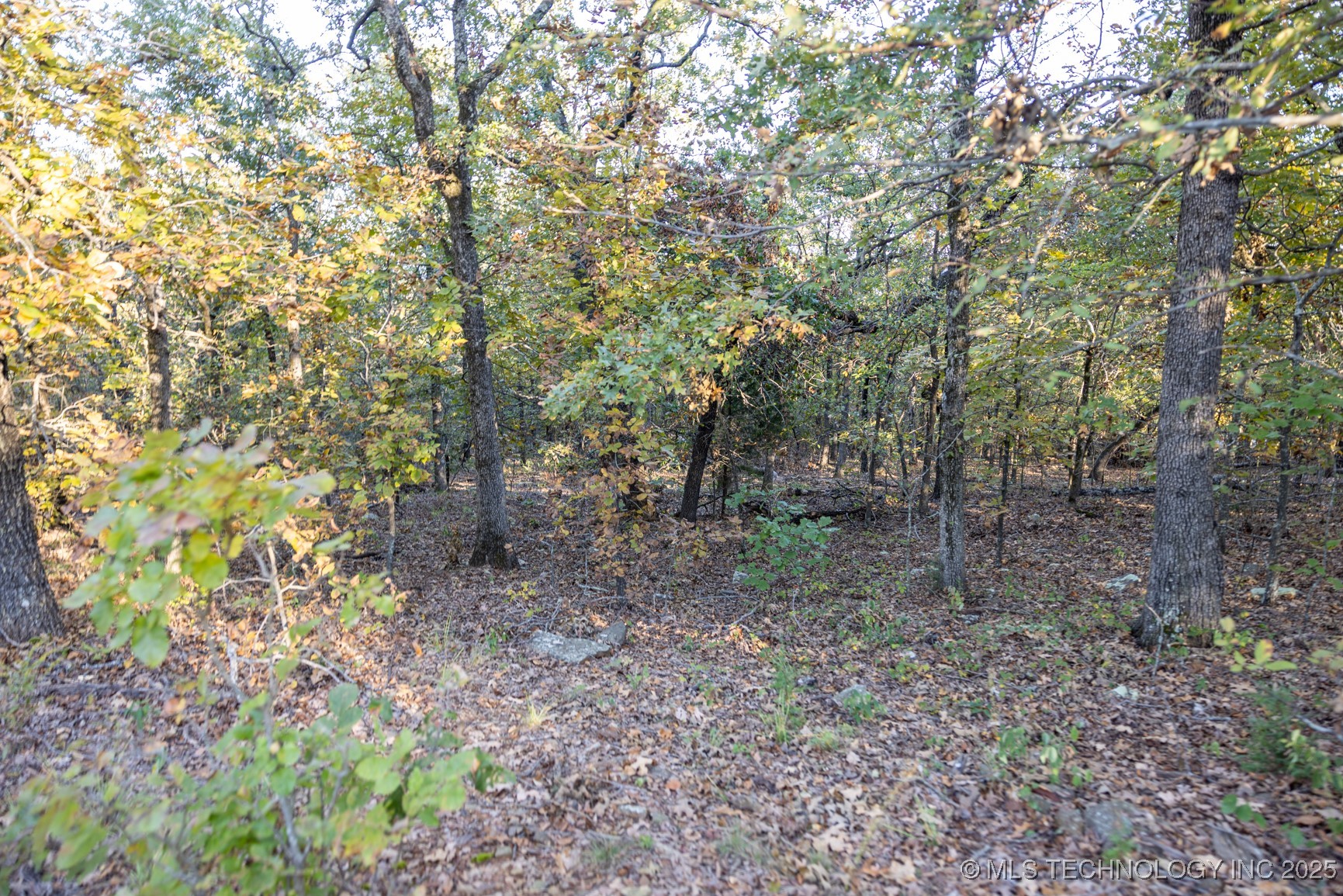 4 N Coal Creek Property Photo 25