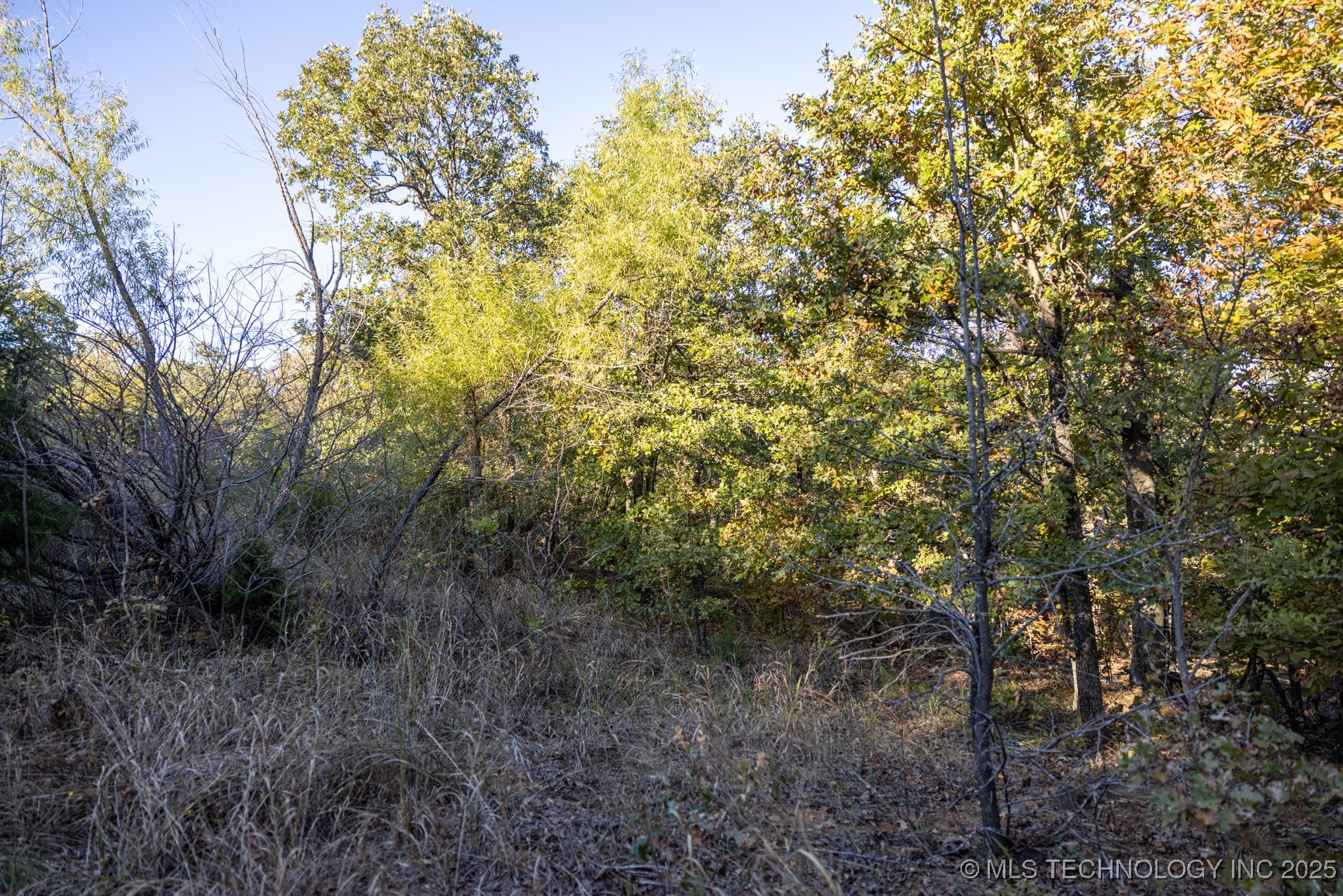 4 N Coal Creek Property Photo 26