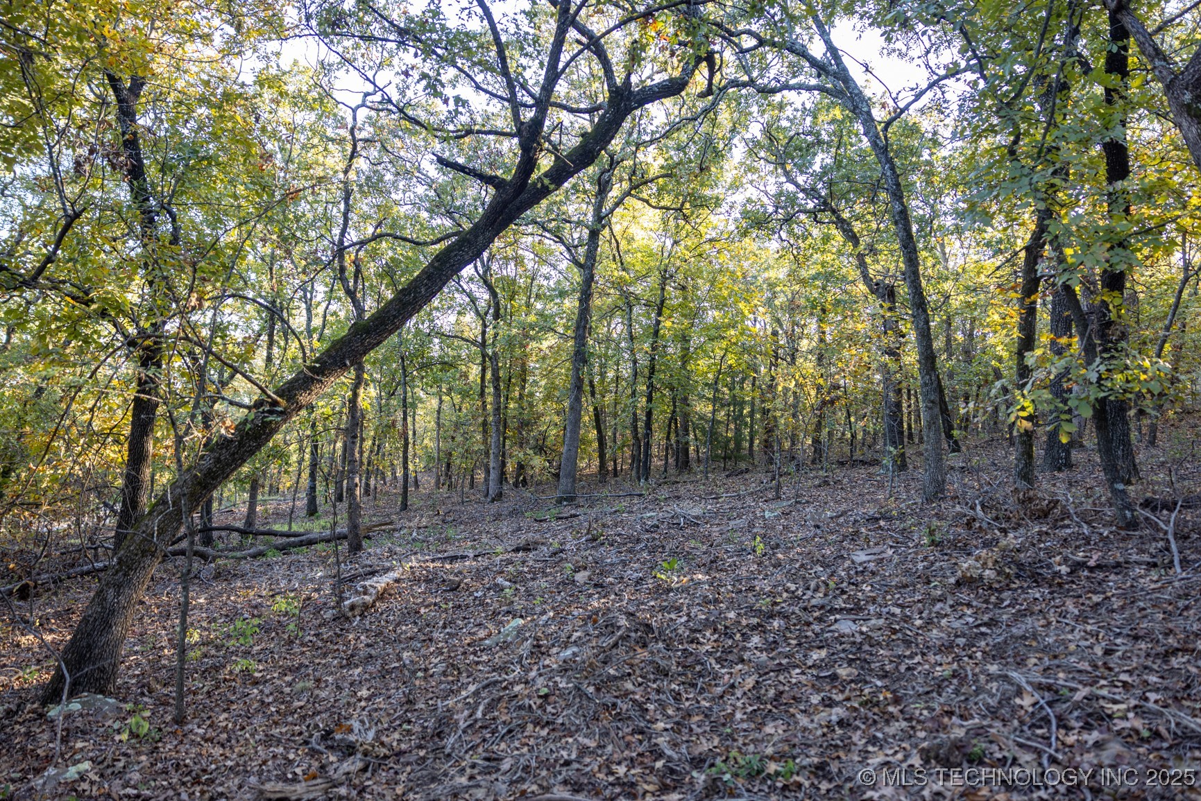 4 N Coal Creek Property Photo 28