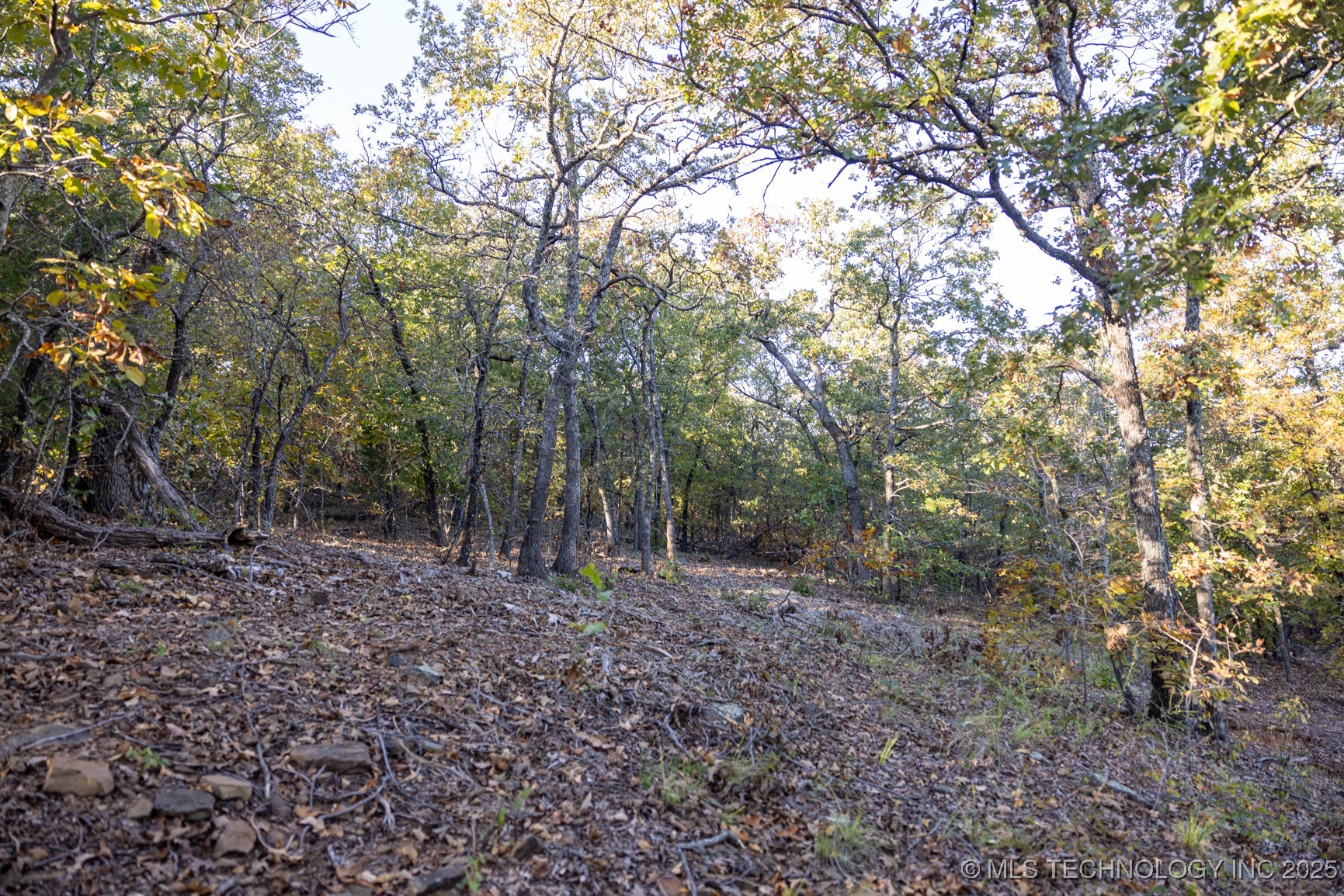 4 N Coal Creek Property Photo 33