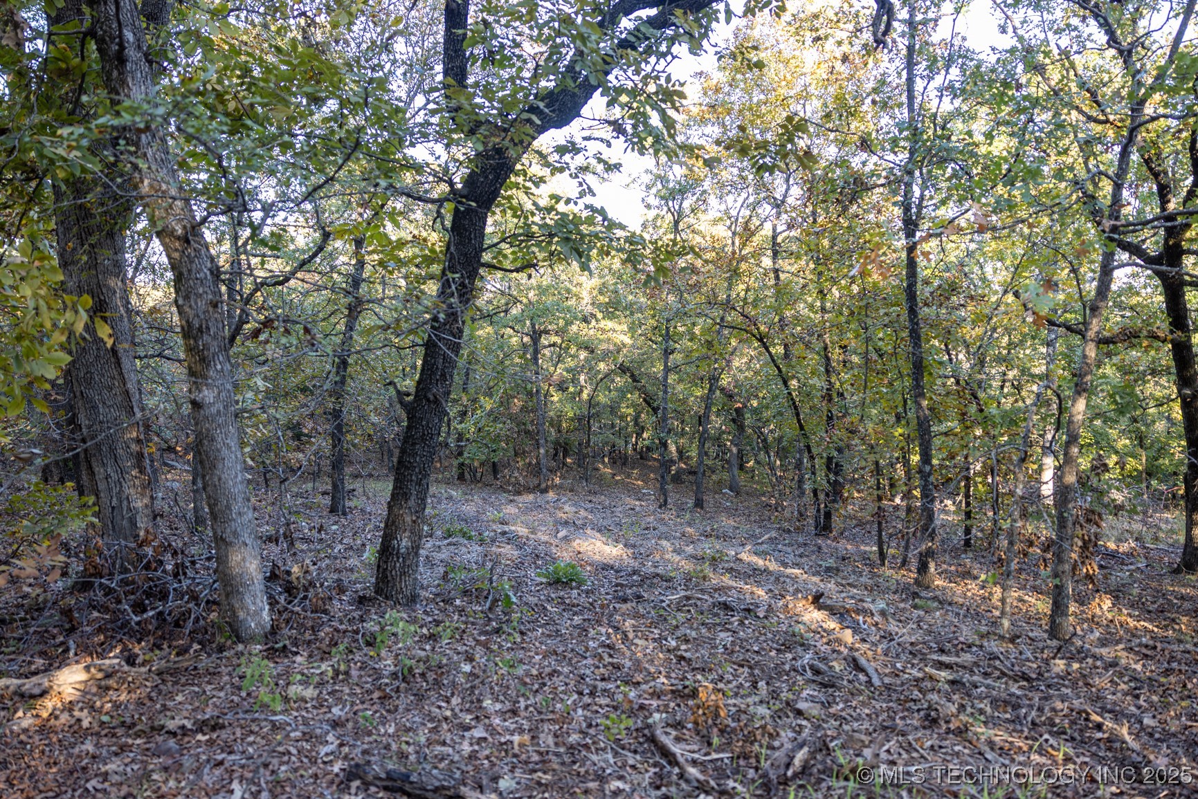 4 N Coal Creek Property Photo 37