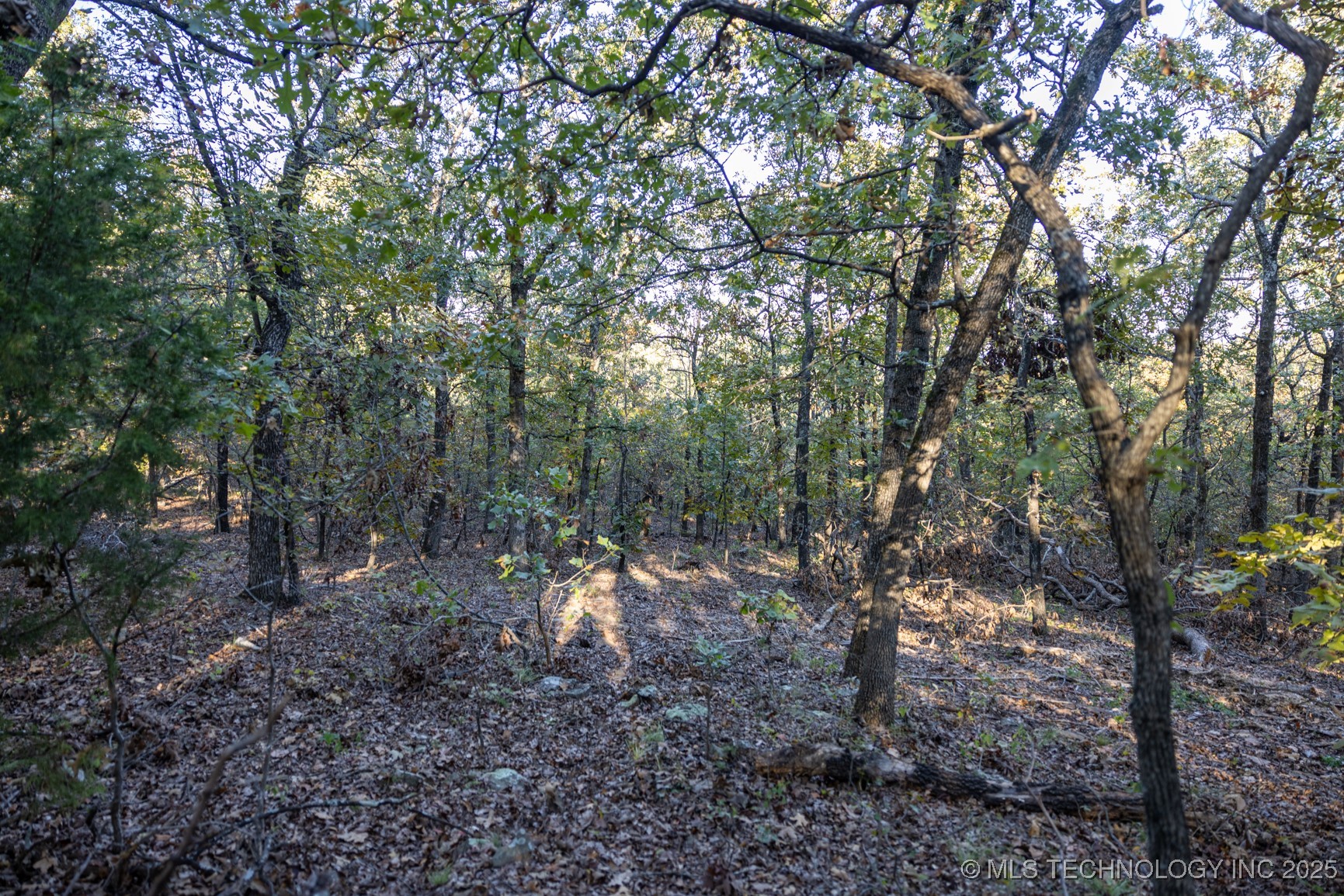 4 N Coal Creek Property Photo 38