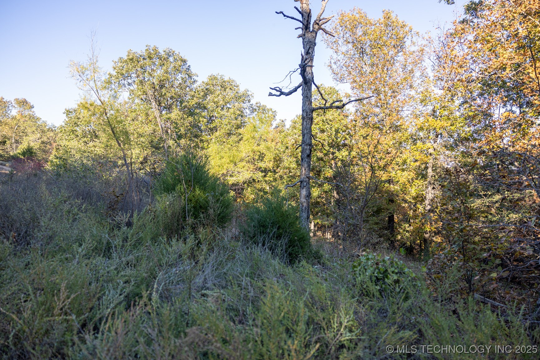 4 N Coal Creek Property Photo 39