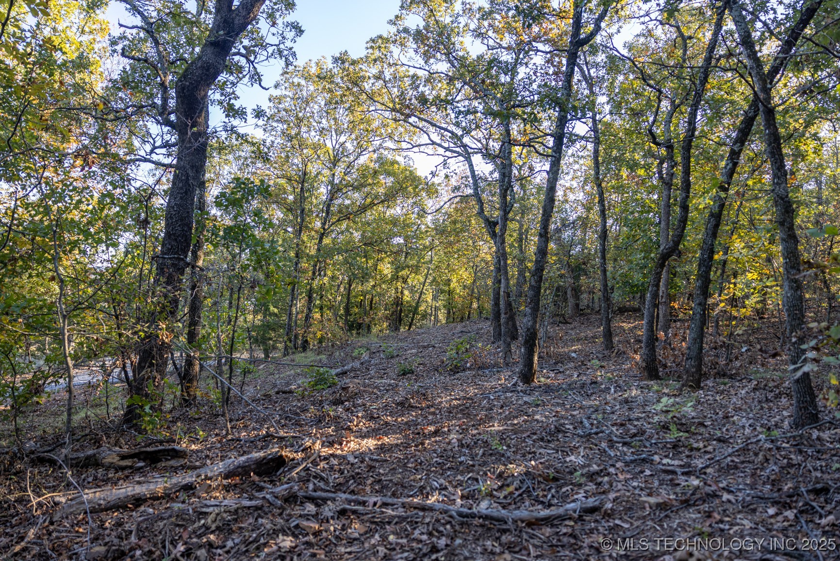 4 N Coal Creek Property Photo 40