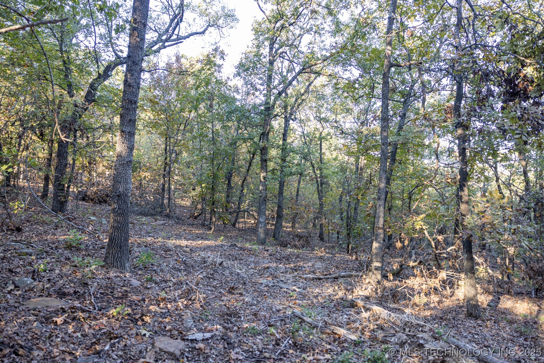 4 N Coal Creek Property Photo 41