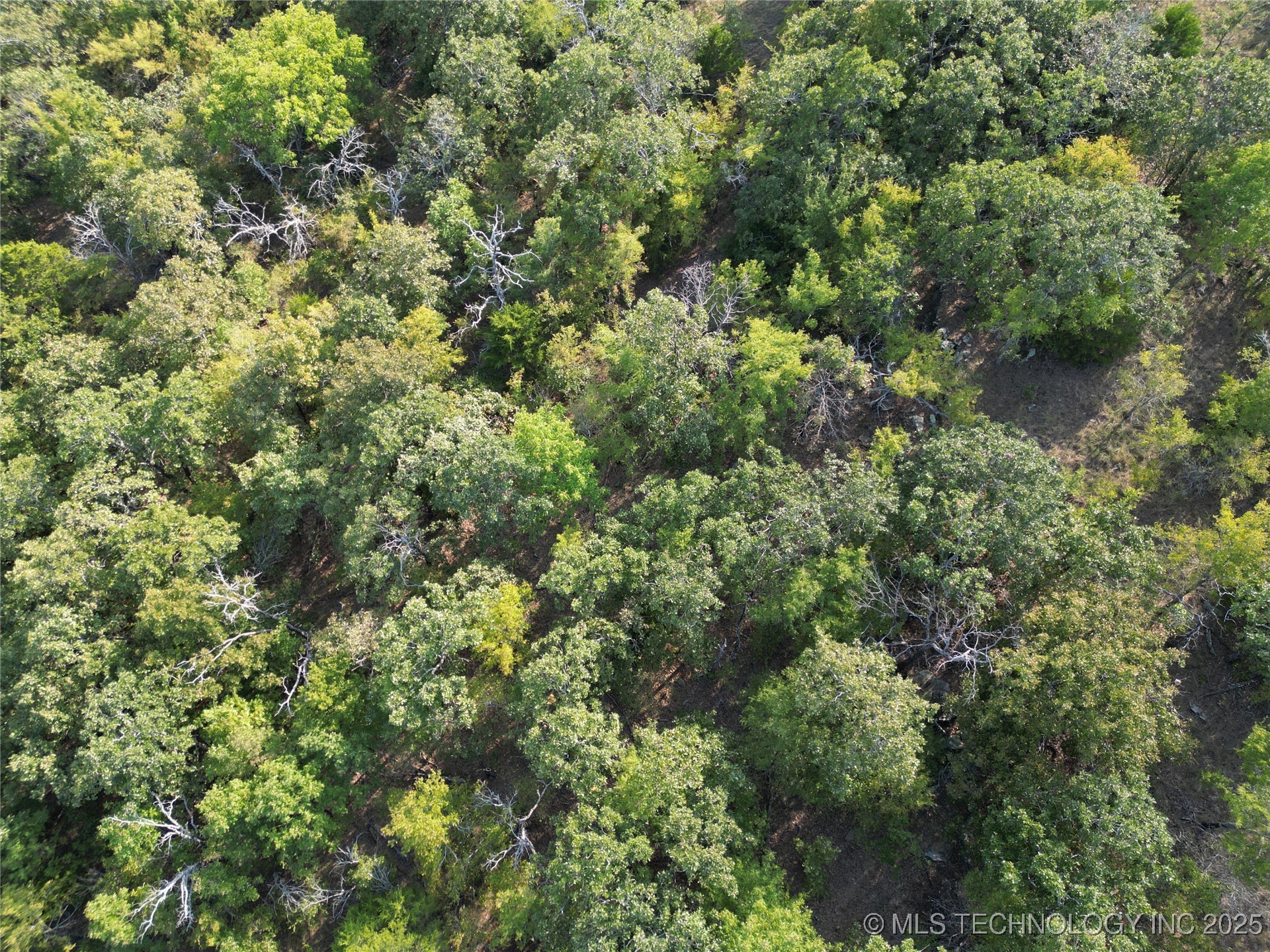 4 N Coal Creek Property Photo 55