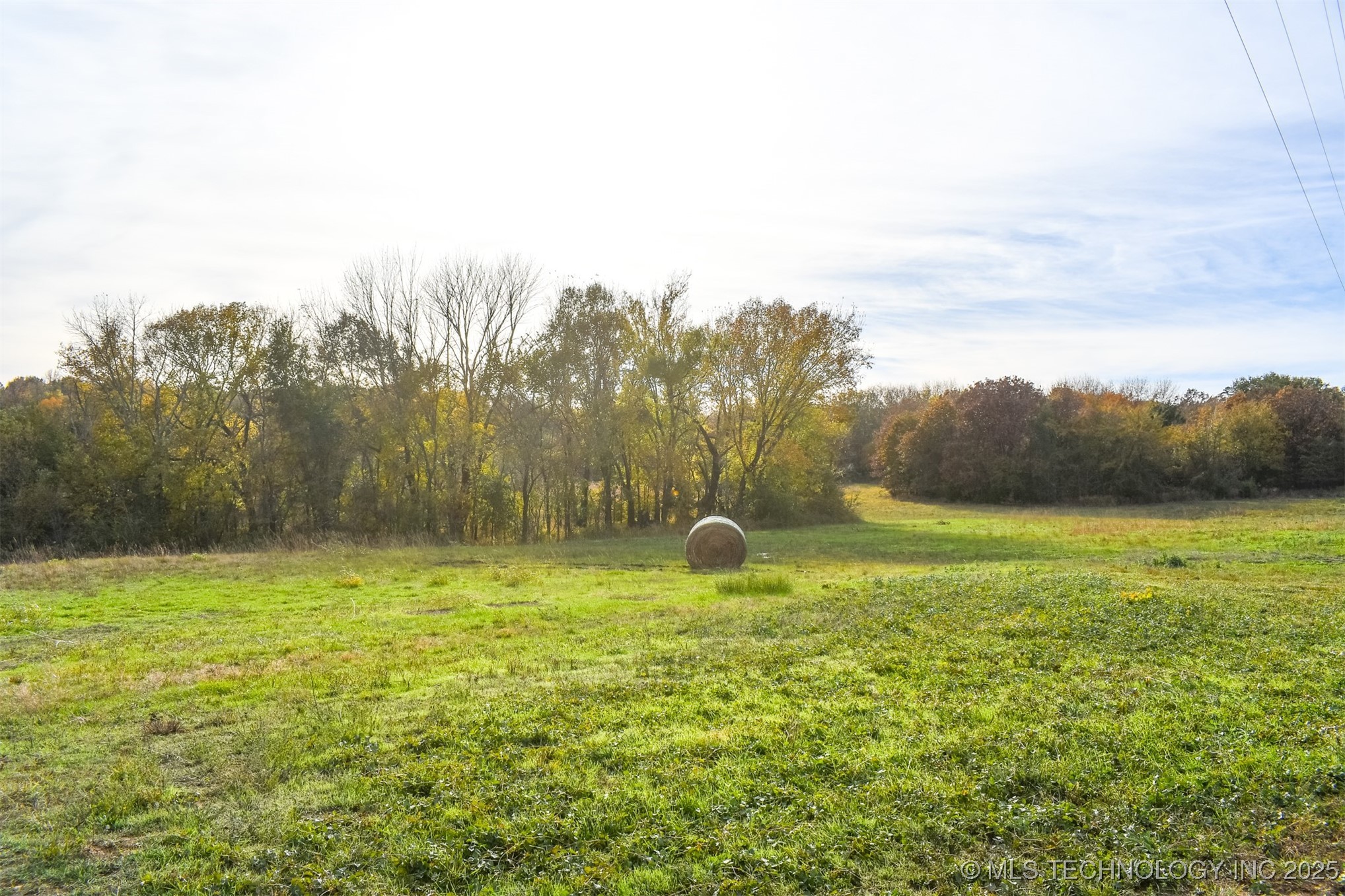 County Road 1170 Property Photo 2