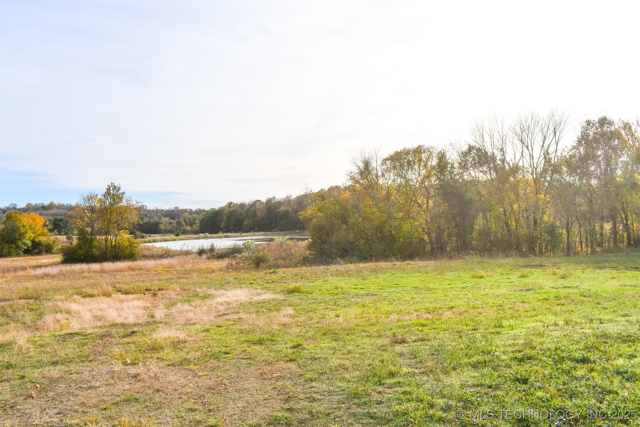 County Road 1170 Property Photo 3