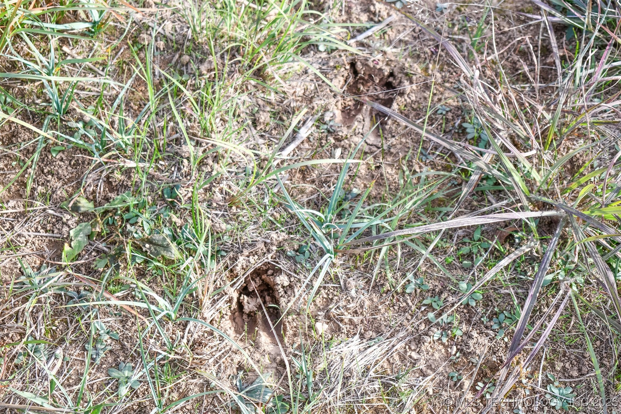 County Road 1170 Property Photo 4