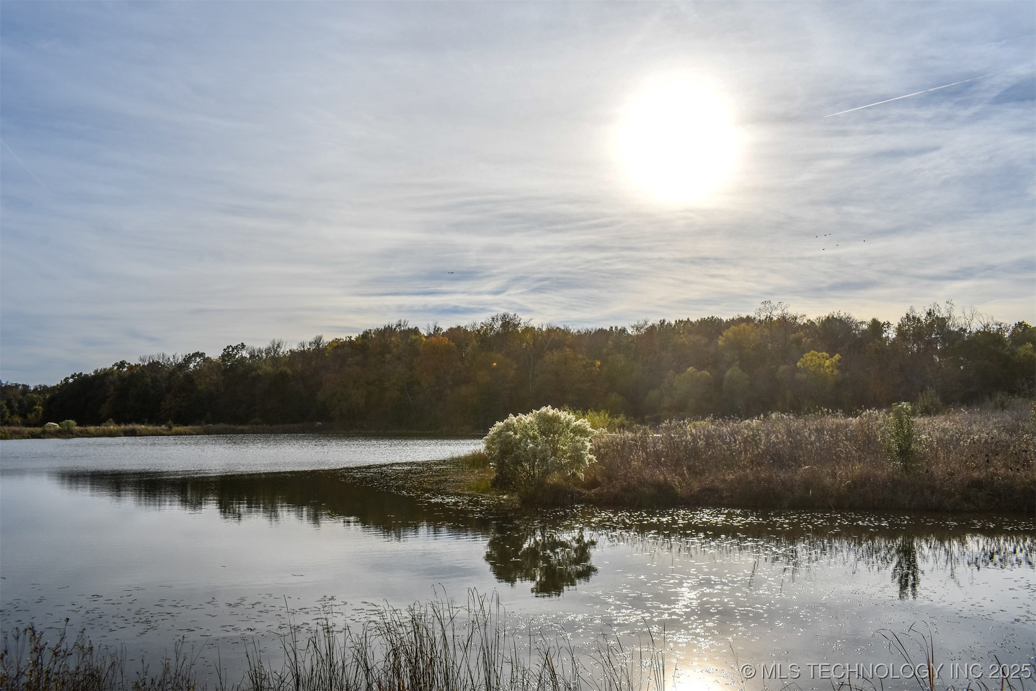 County Road 1170 Property Photo 5