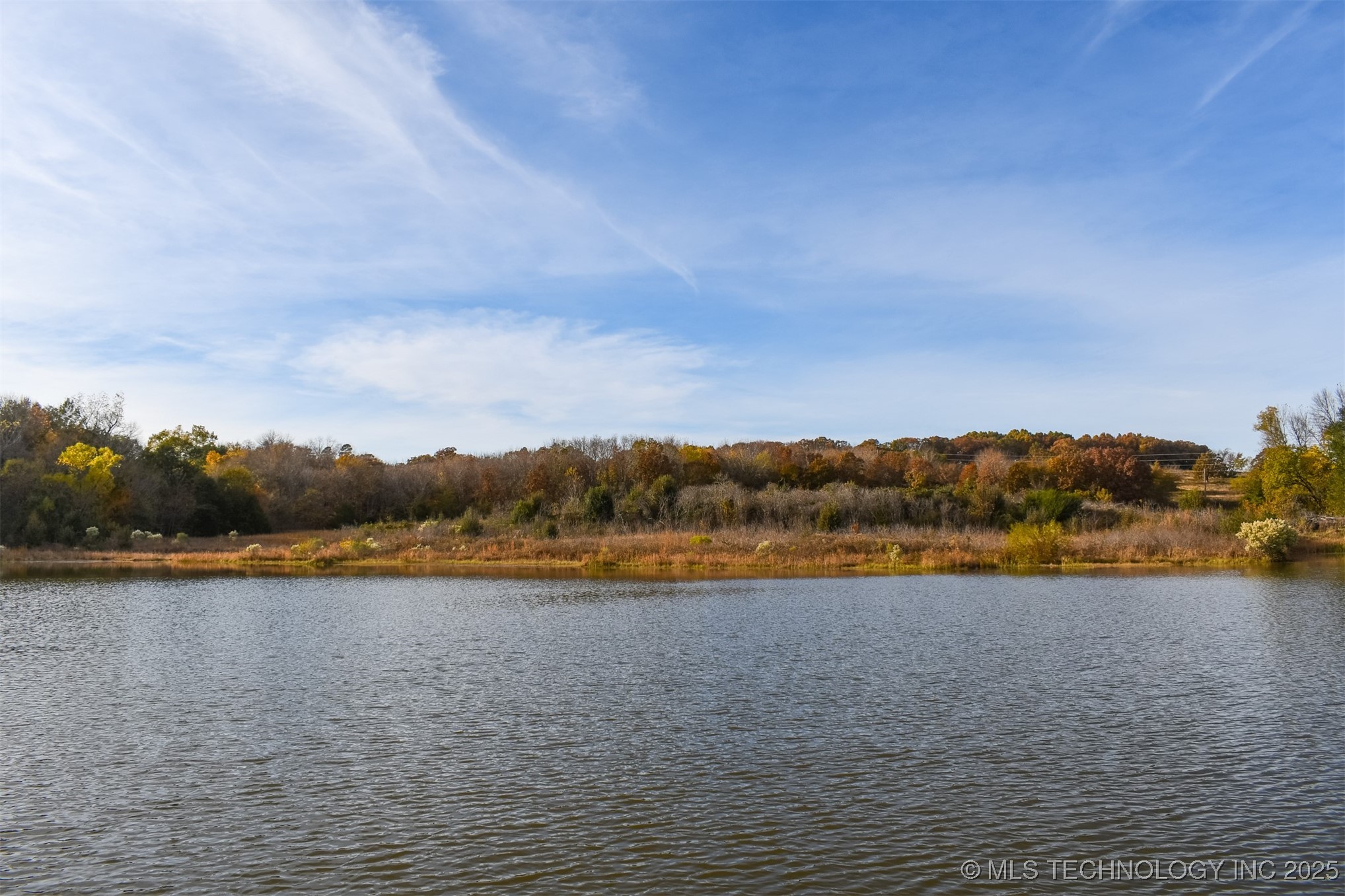 County Road 1170 Property Photo 6