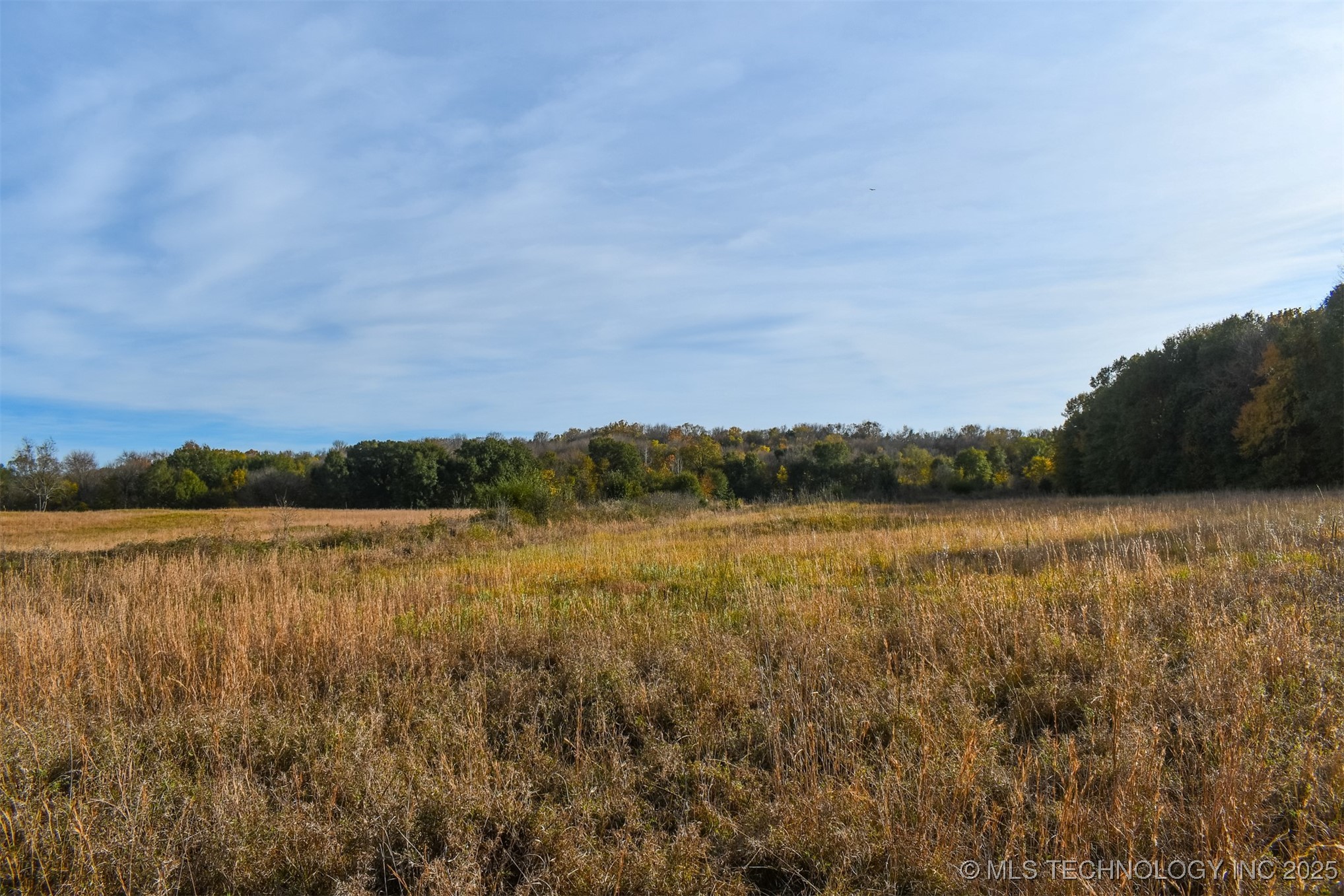 County Road 1170 Property Photo 7