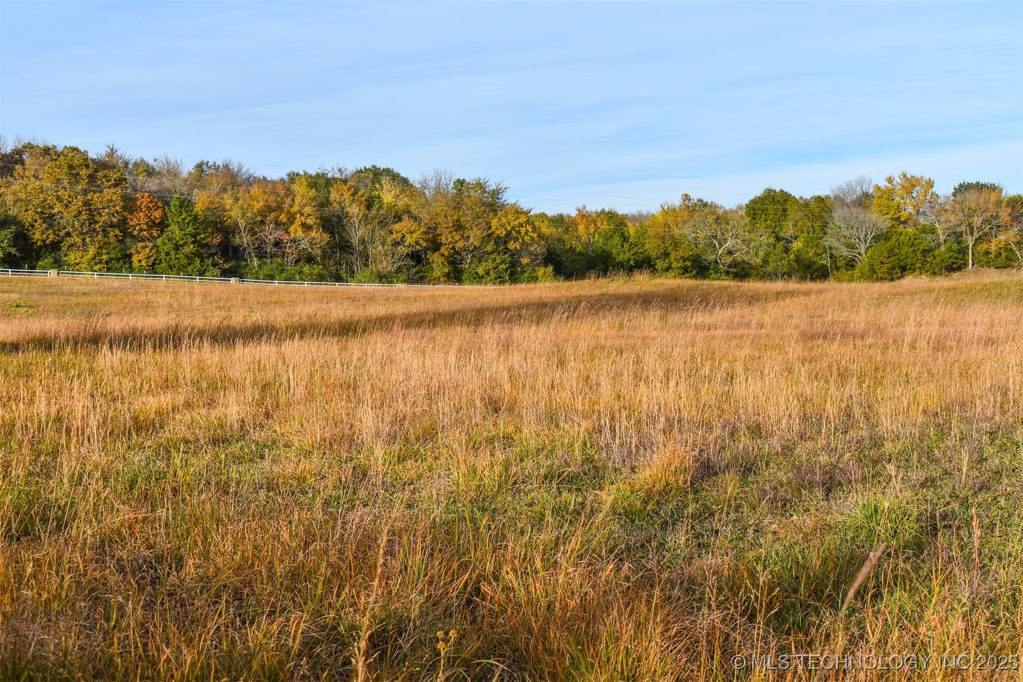 County Road 1170 Property Photo 8
