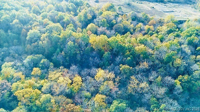 County Road 1170 Property Photo 10