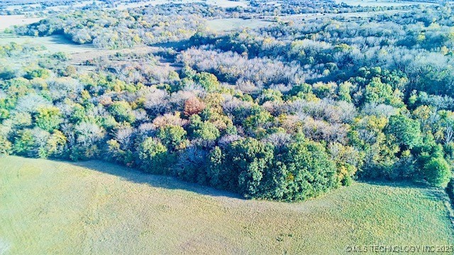 County Road 1170 Property Photo 14