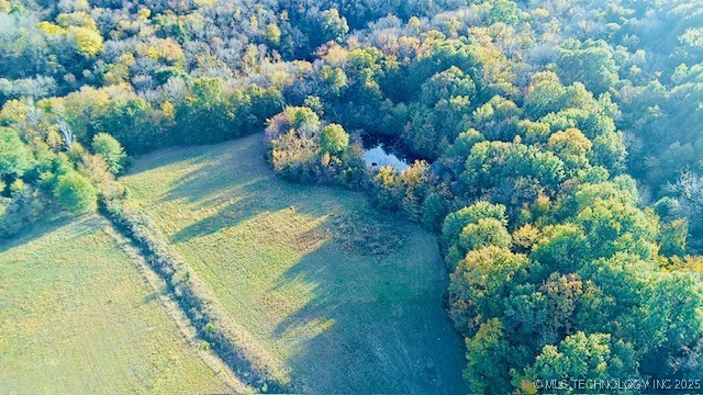 County Road 1170 Property Photo 15