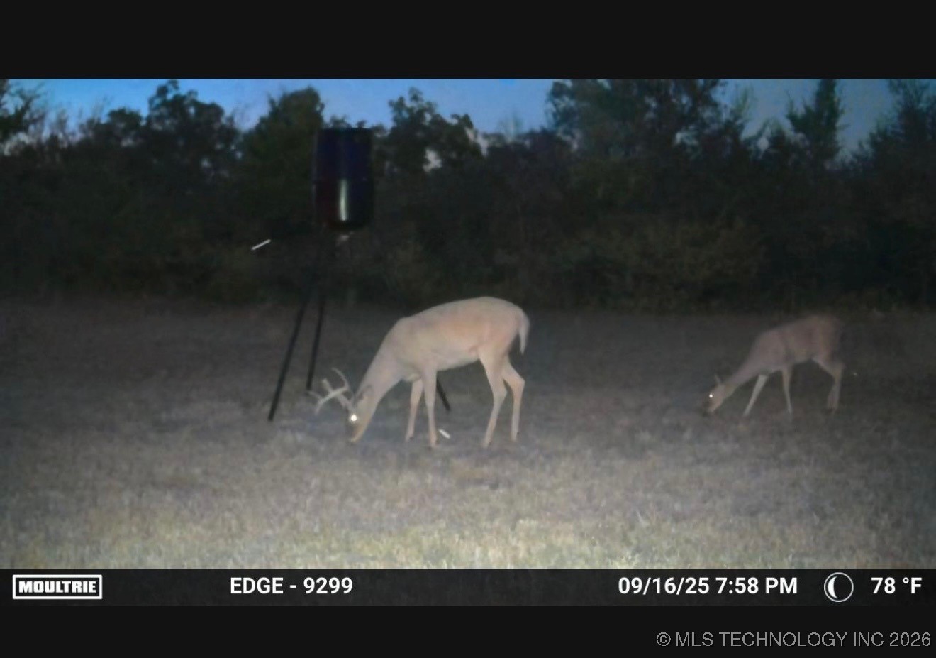 357431 E 960 Road Property Photo 39