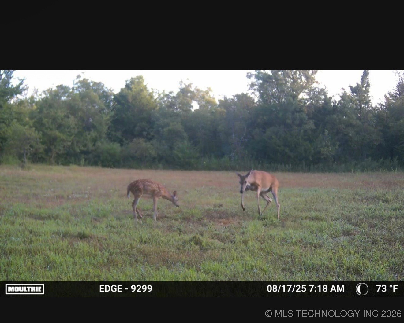 357431 E 960 Road Property Photo 42