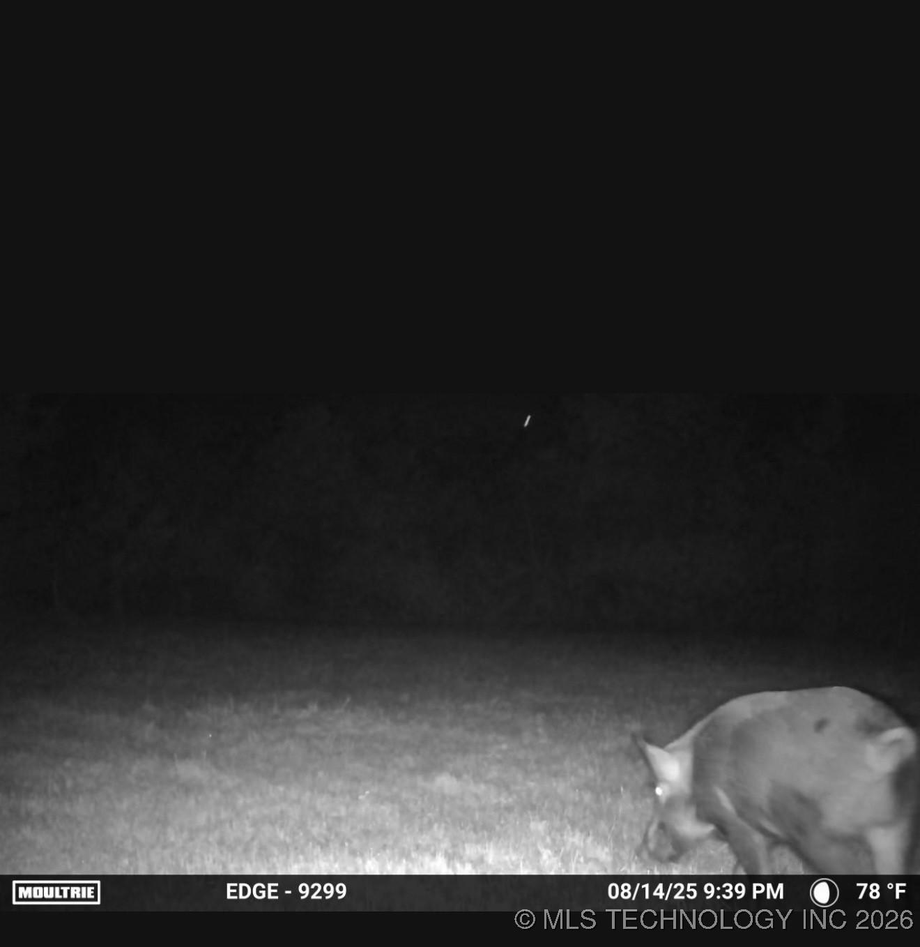 357431 E 960 Road Property Photo 43