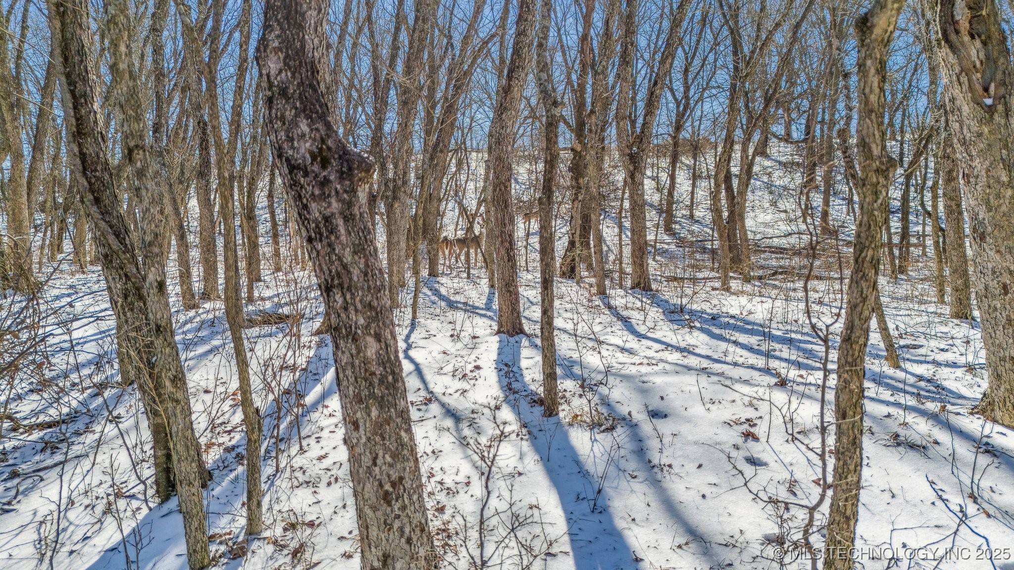 9501 S 4170 Road Property Photo 28