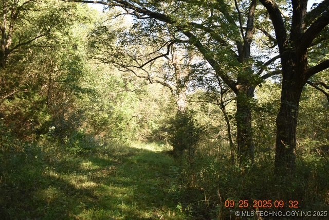 Tyler Road Property Photo 5