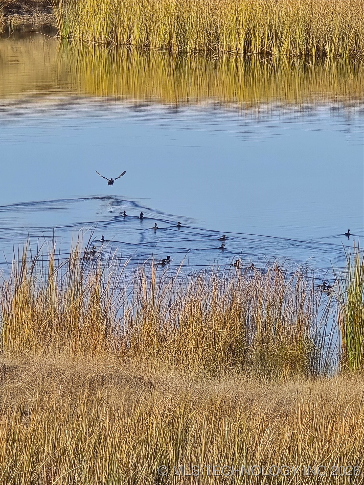 60th Property Photo 5