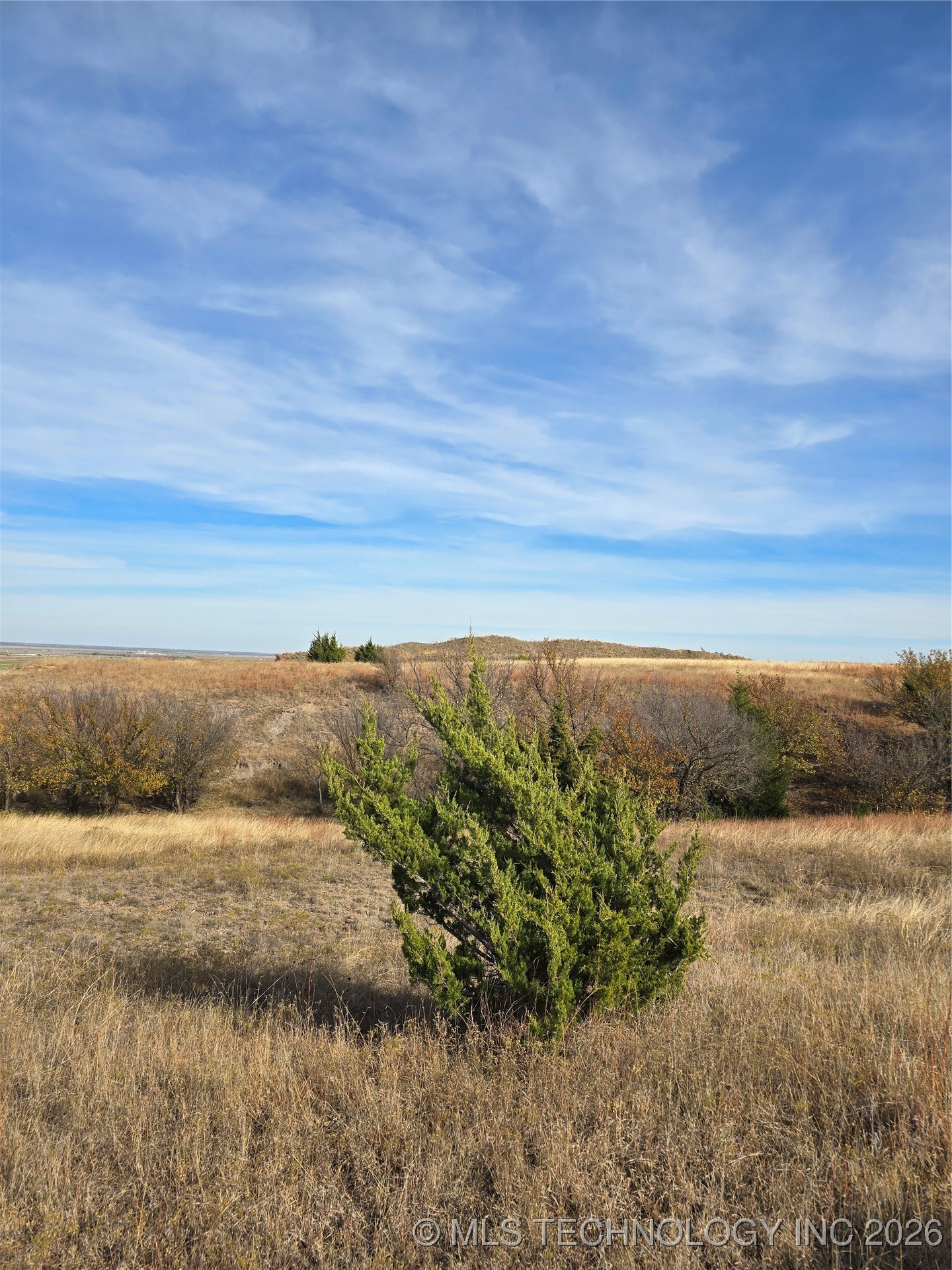 60th Property Photo 10