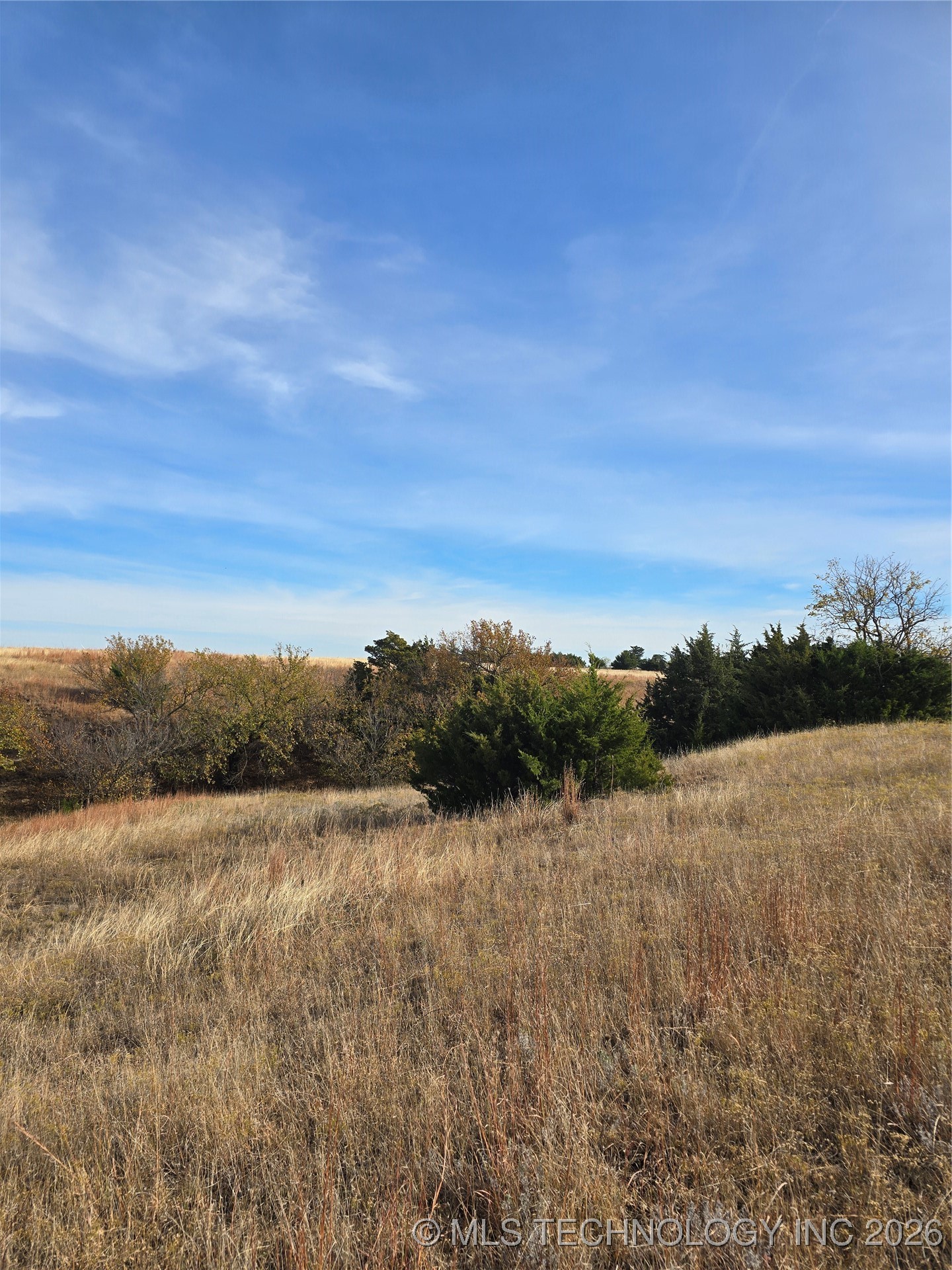 60th Property Photo 14