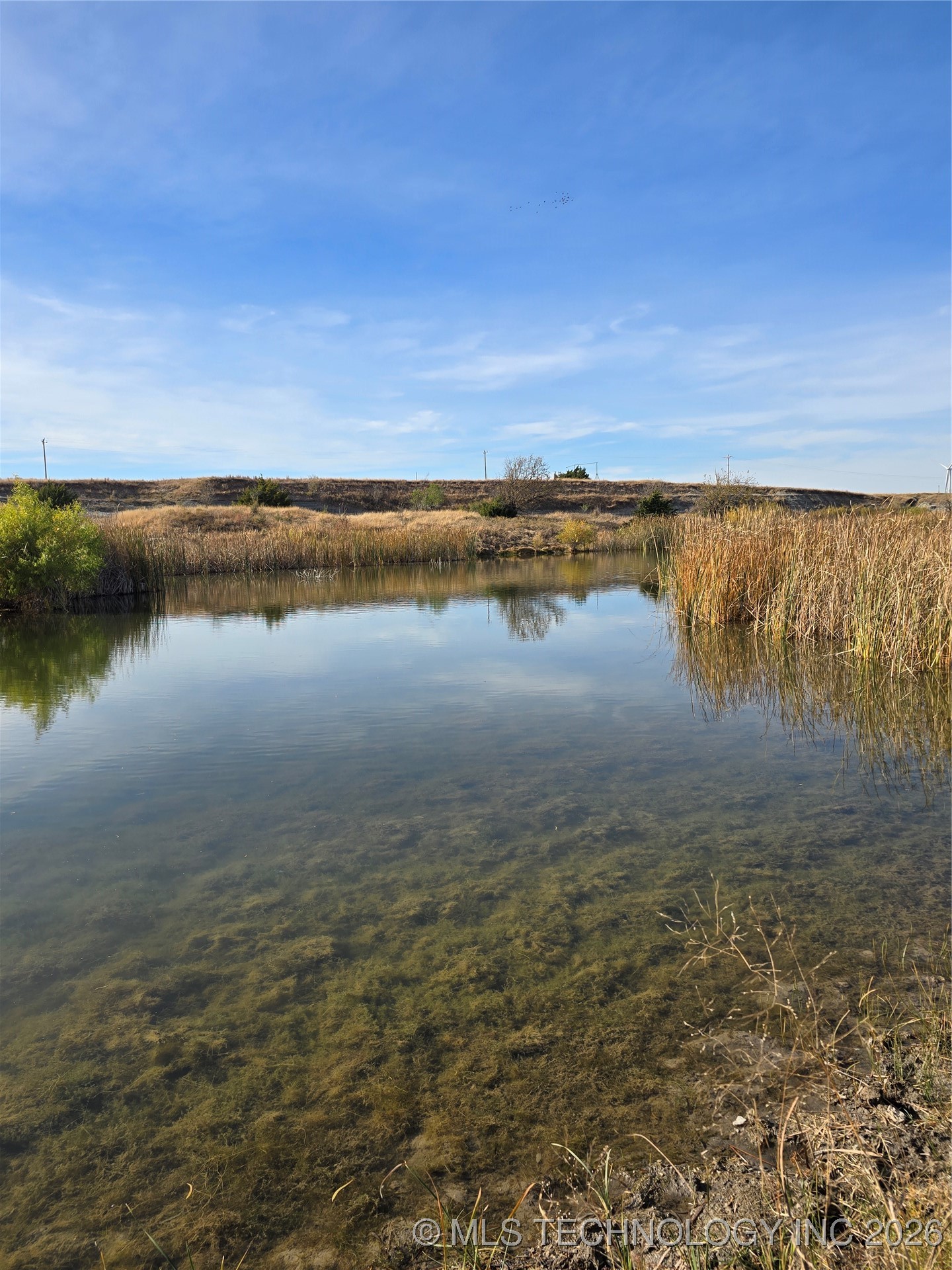 60th Property Photo 15