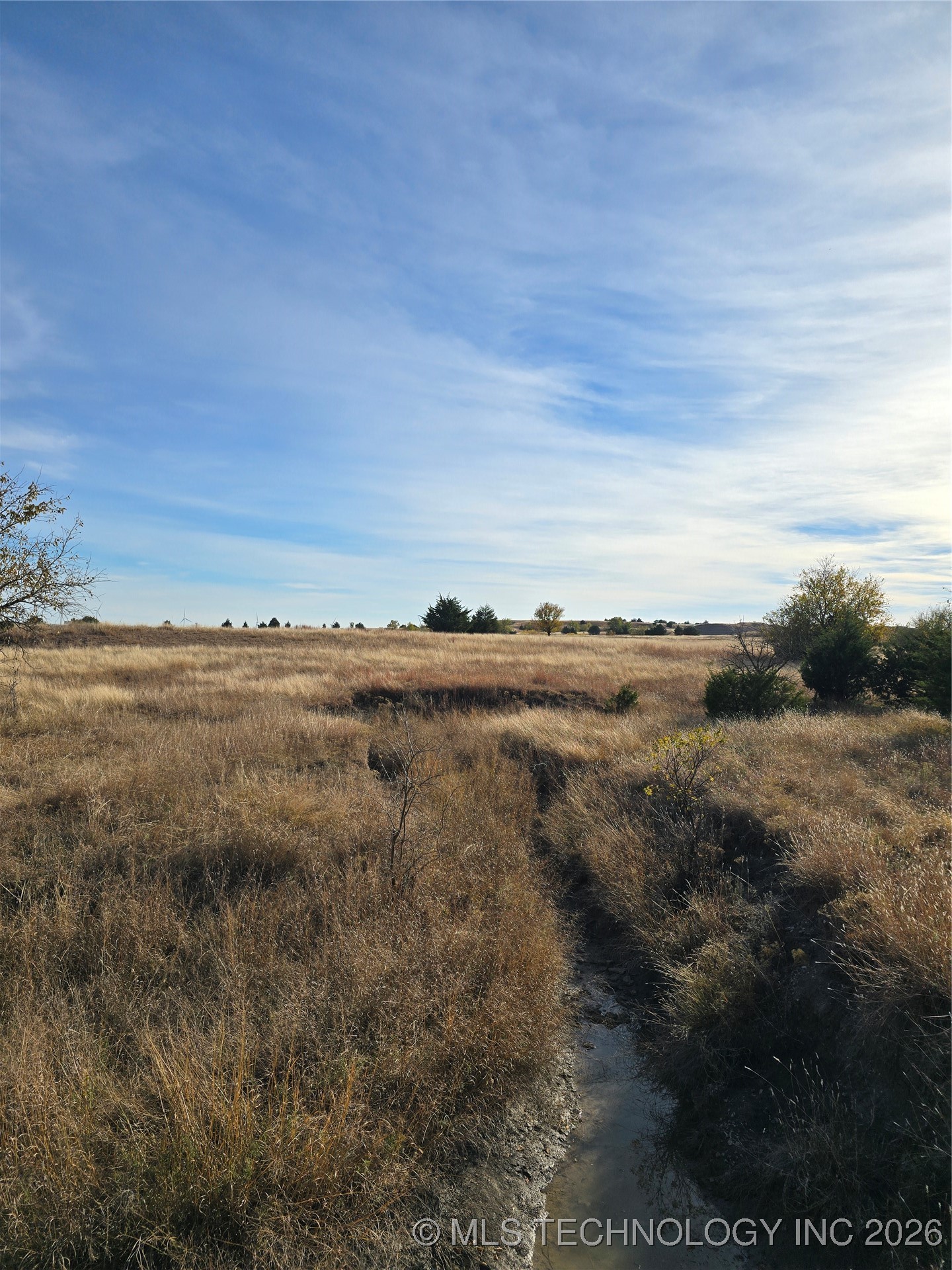 60th Property Photo 16