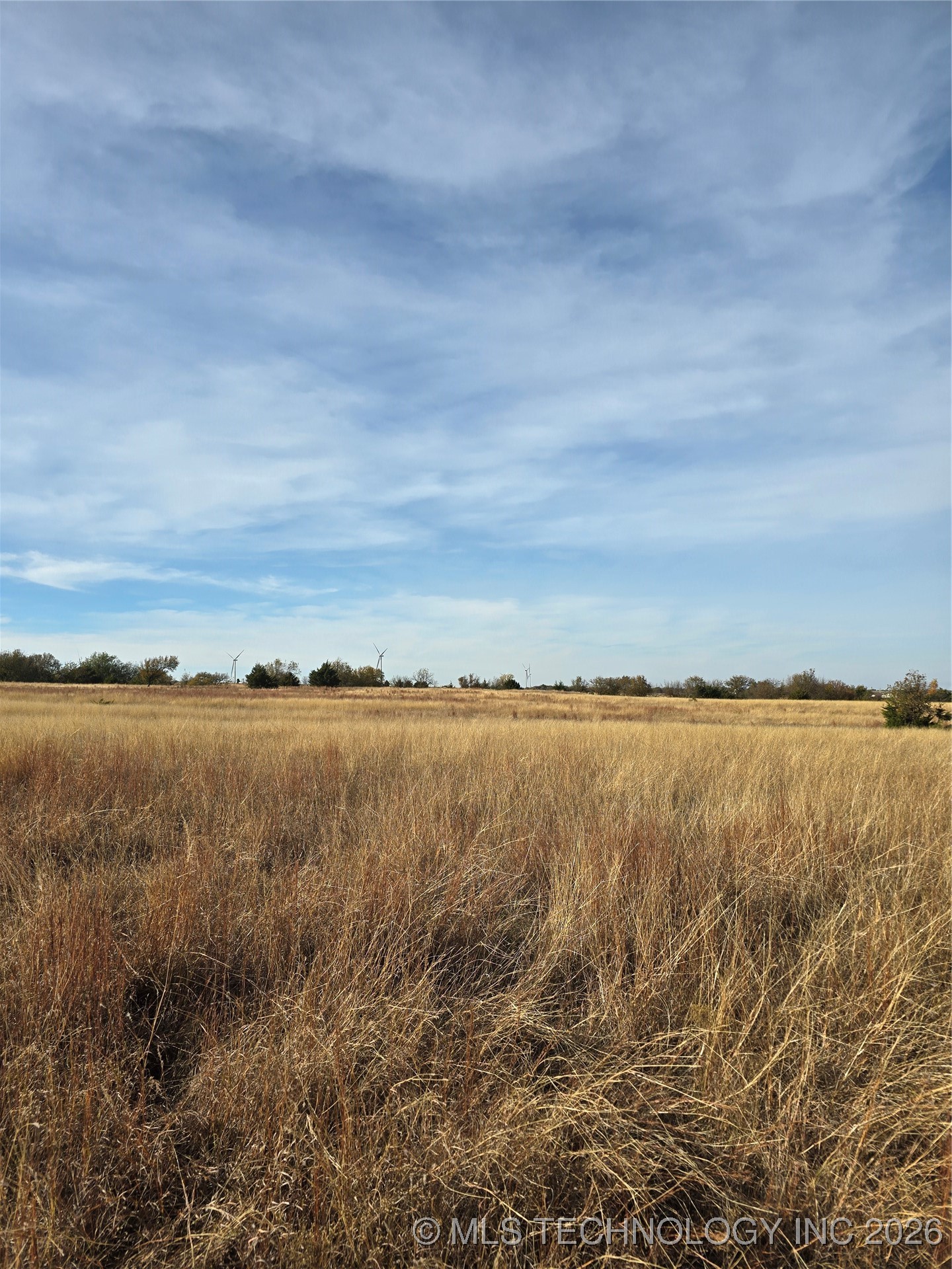 60th Property Photo 19