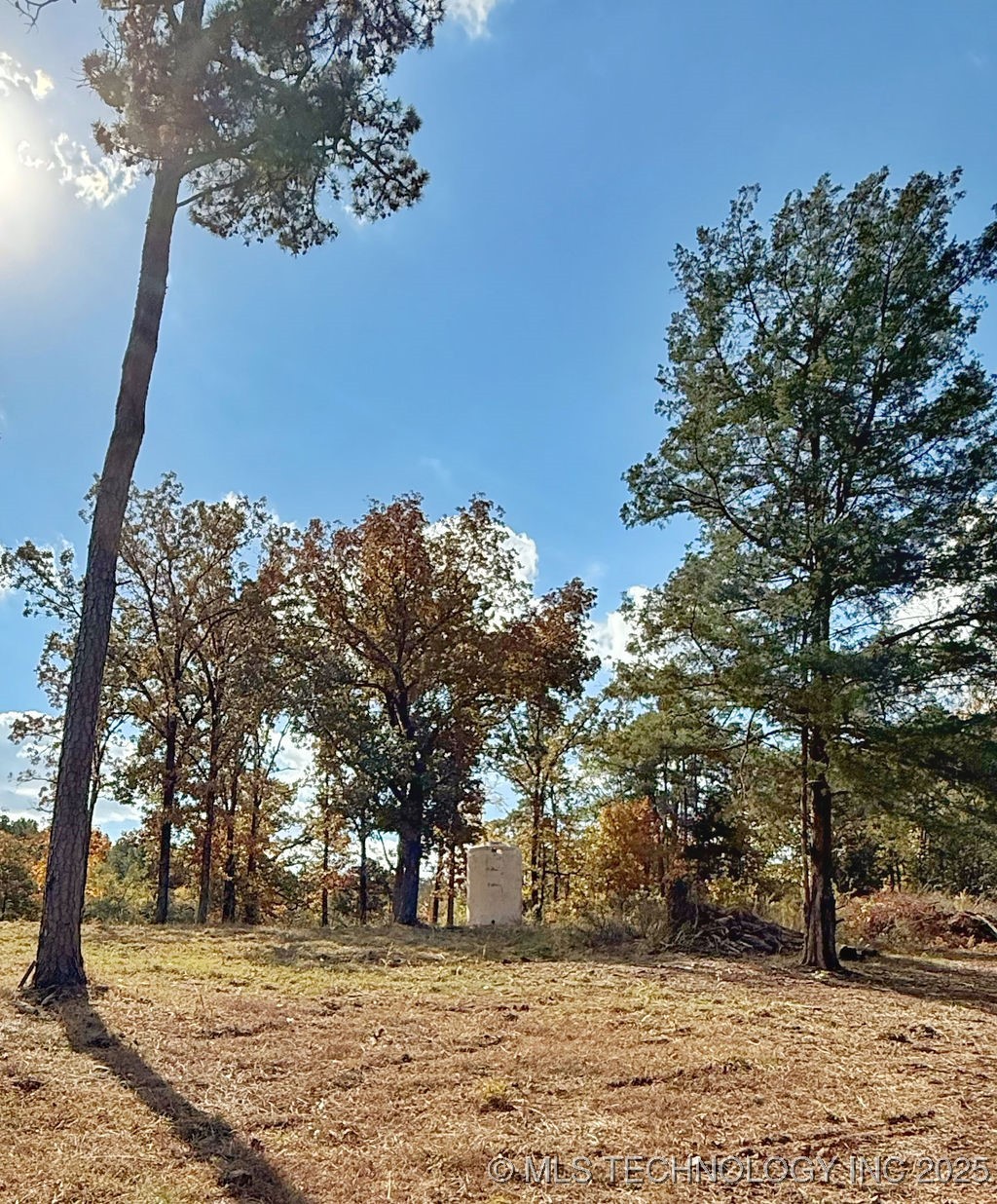 45143 Us Hwy 59 Property Photo 4