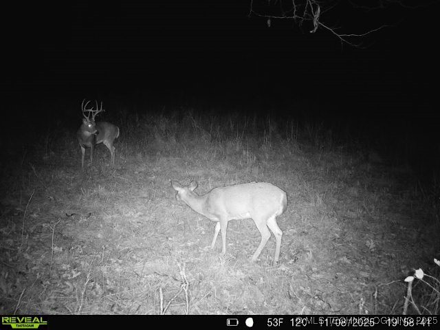 200 E 20 Road Property Photo 7