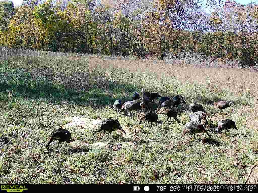 200 E 20 Road Property Photo 8